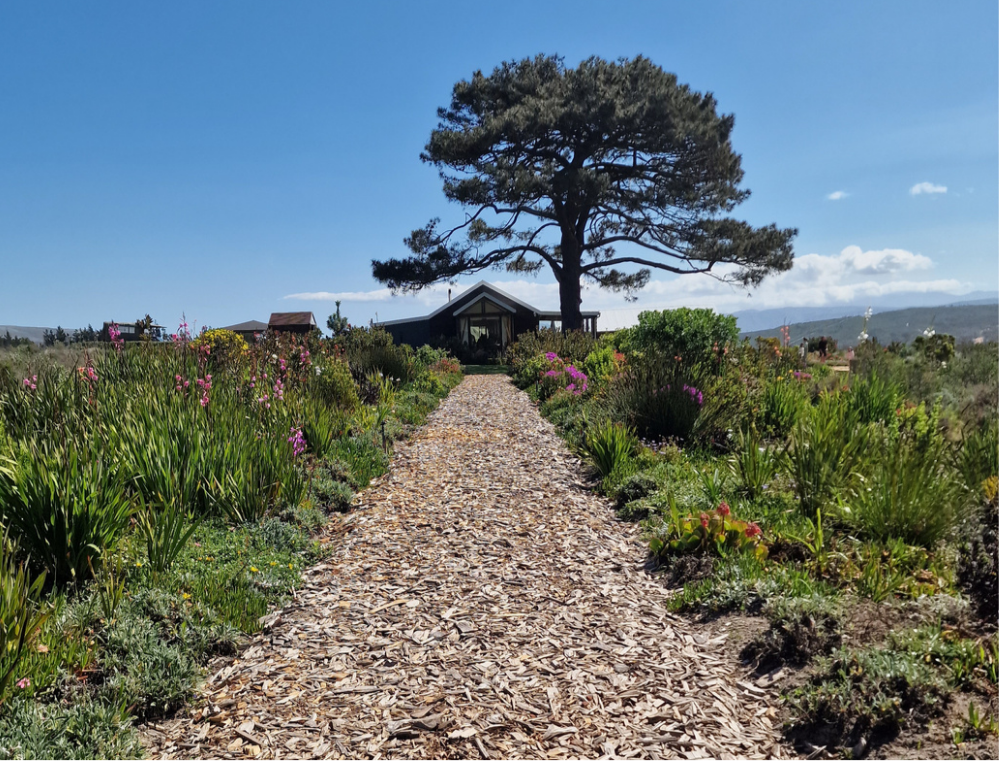 Scenic landscape of Hemel-en-Aarde and Grootbos wine country in South Africa