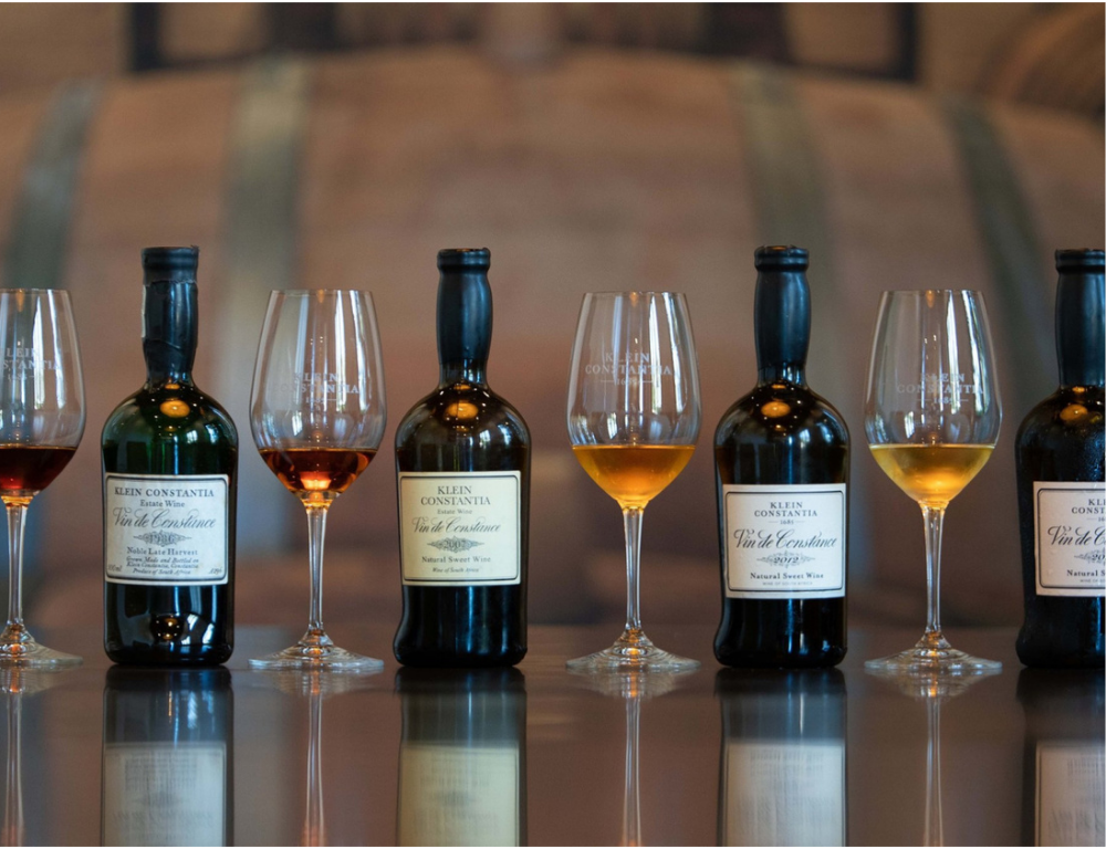South African wine experience in Constantia, Cape Town