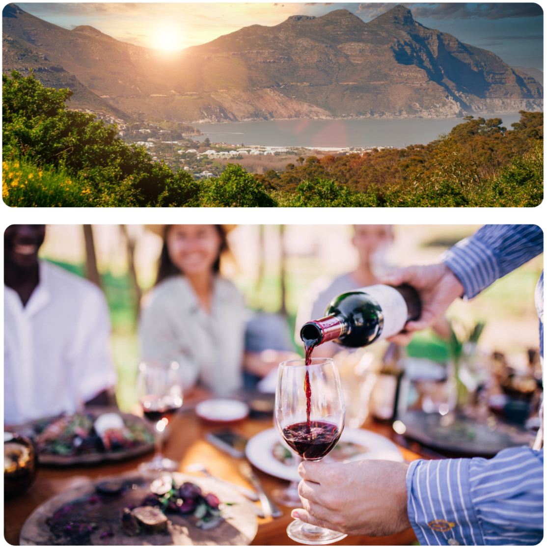 South Africa Cape Winelands landscape and wine tasting experience