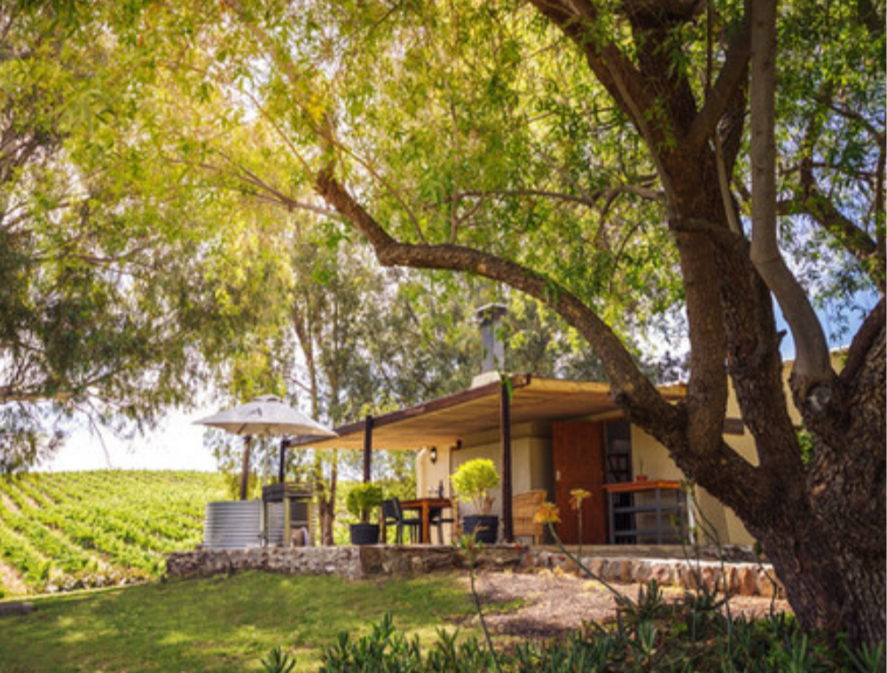 Robertson wine country landscape in South Africa’s Cape Winelands
