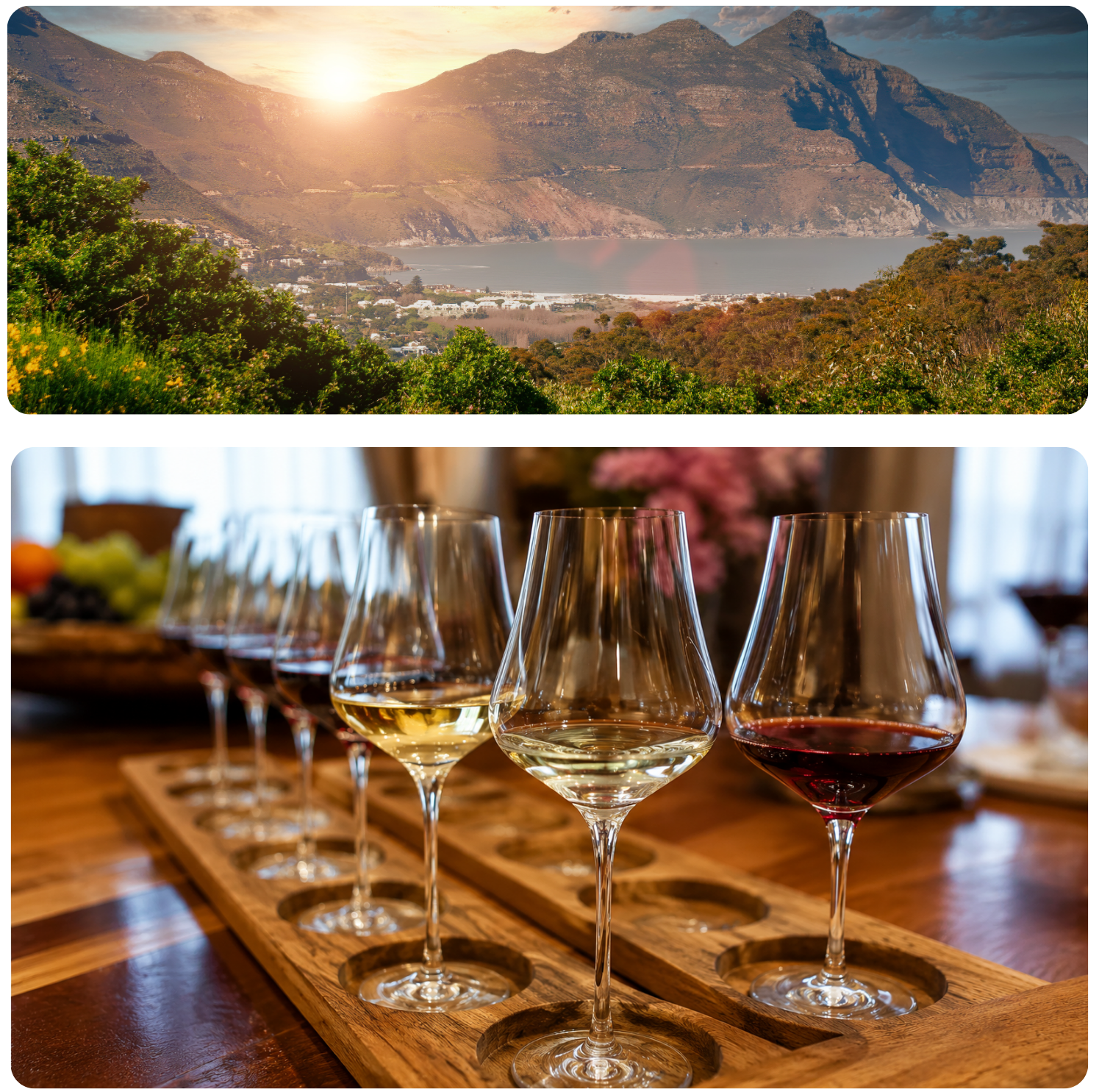 Cape landscape and premium wine tasting experience in South Africa