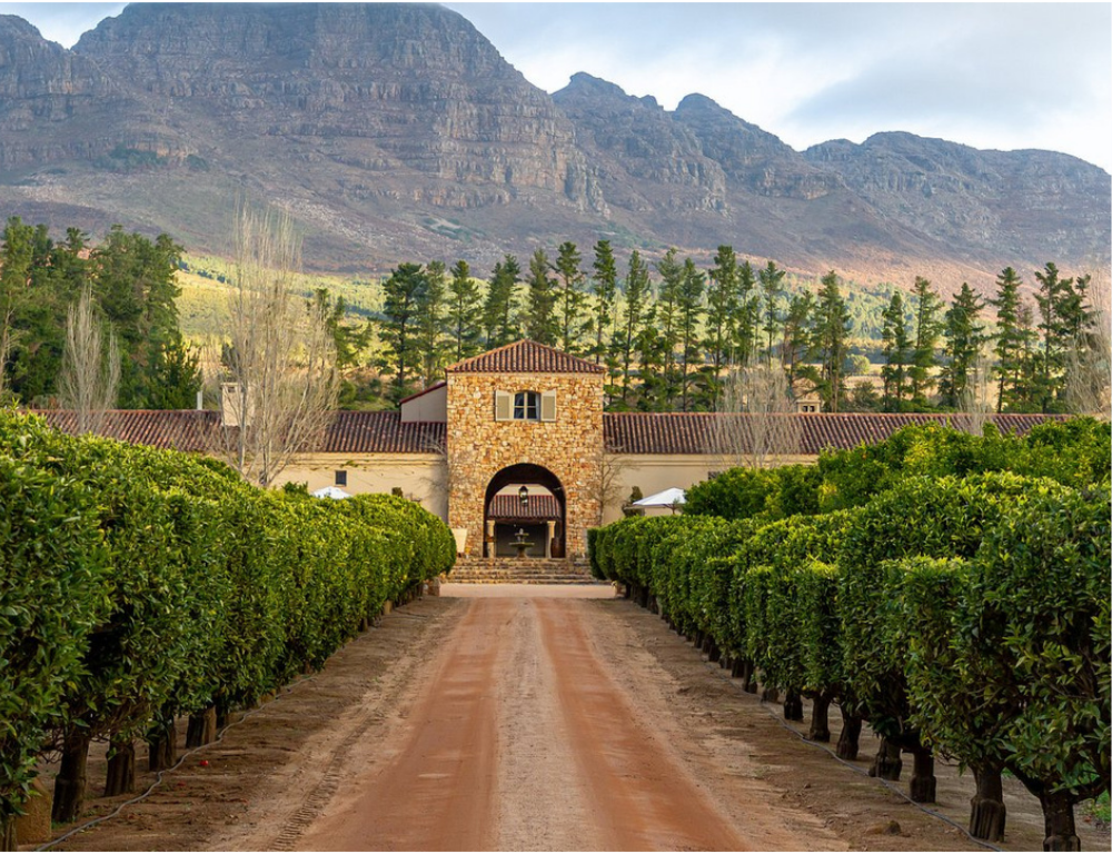 Stellenbosch wine estate surrounded by mountains in South Africa