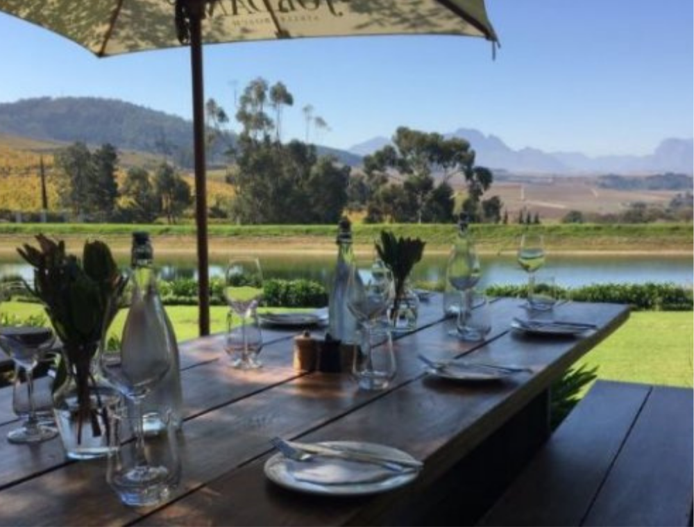 Scenic Elgin and Stellenbosch wine country landscape in South Africa