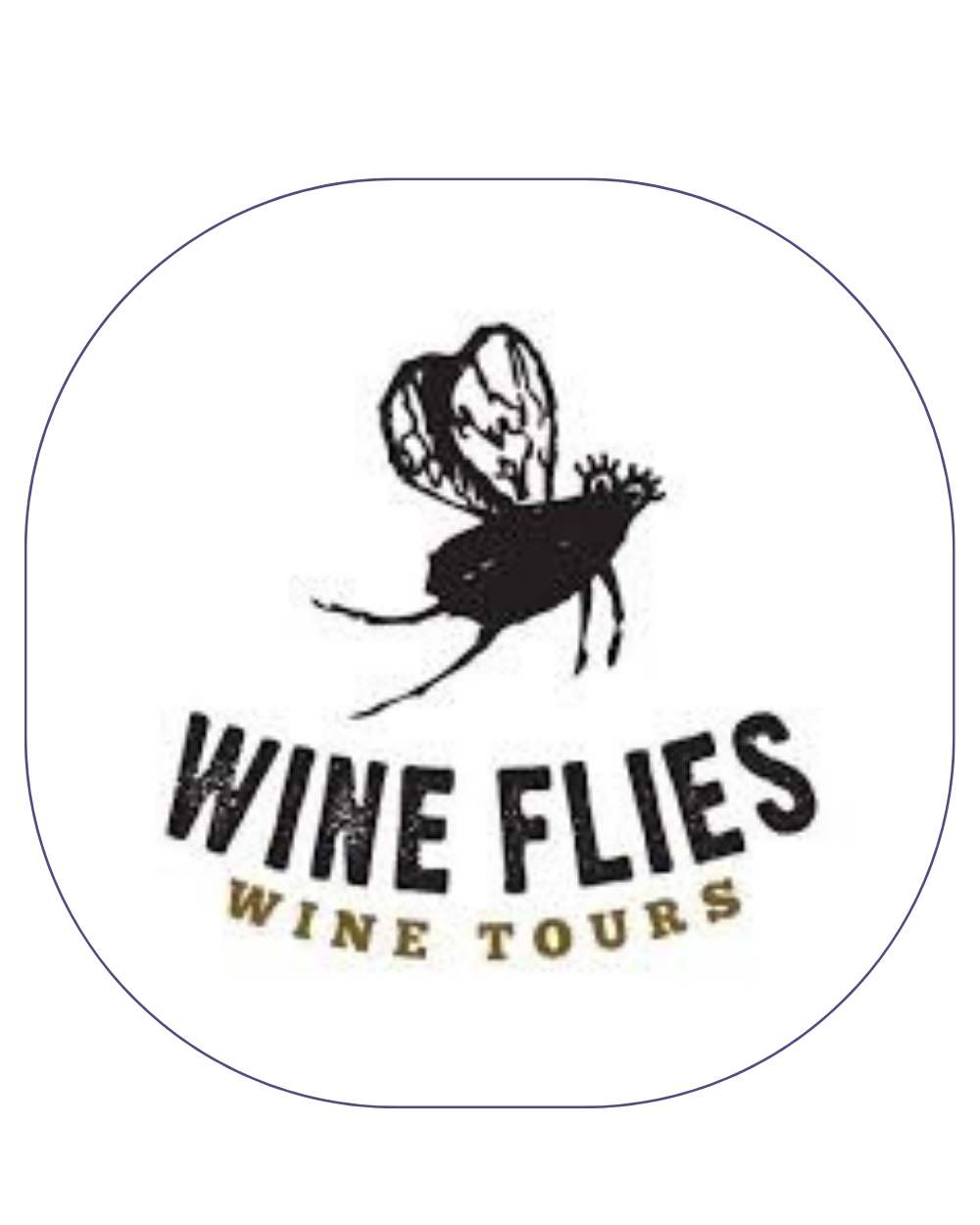Wine Flies wine guiding and private driving partner in Cape Town, South Africa