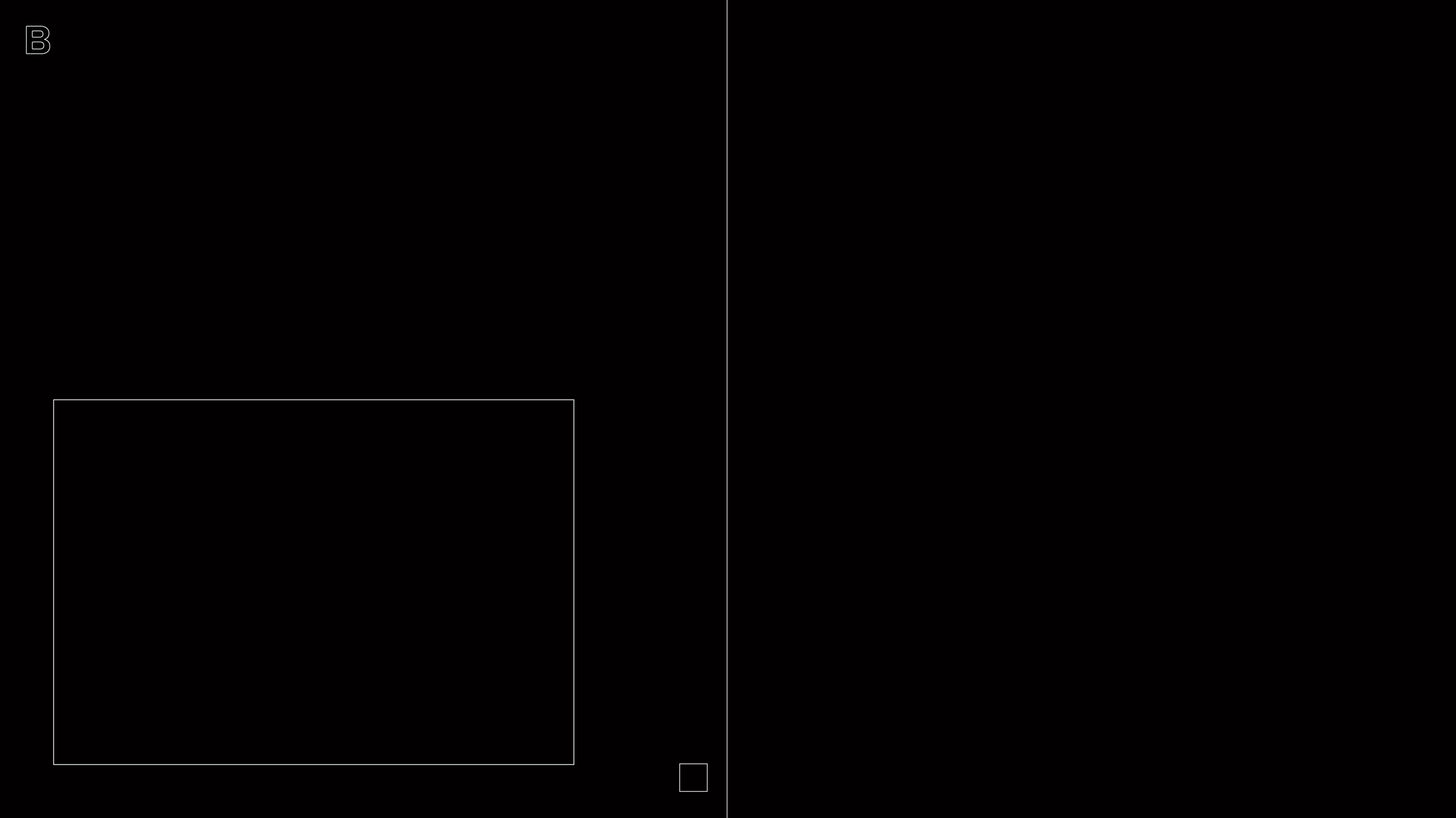 Blakc Webpage layout-03.png
