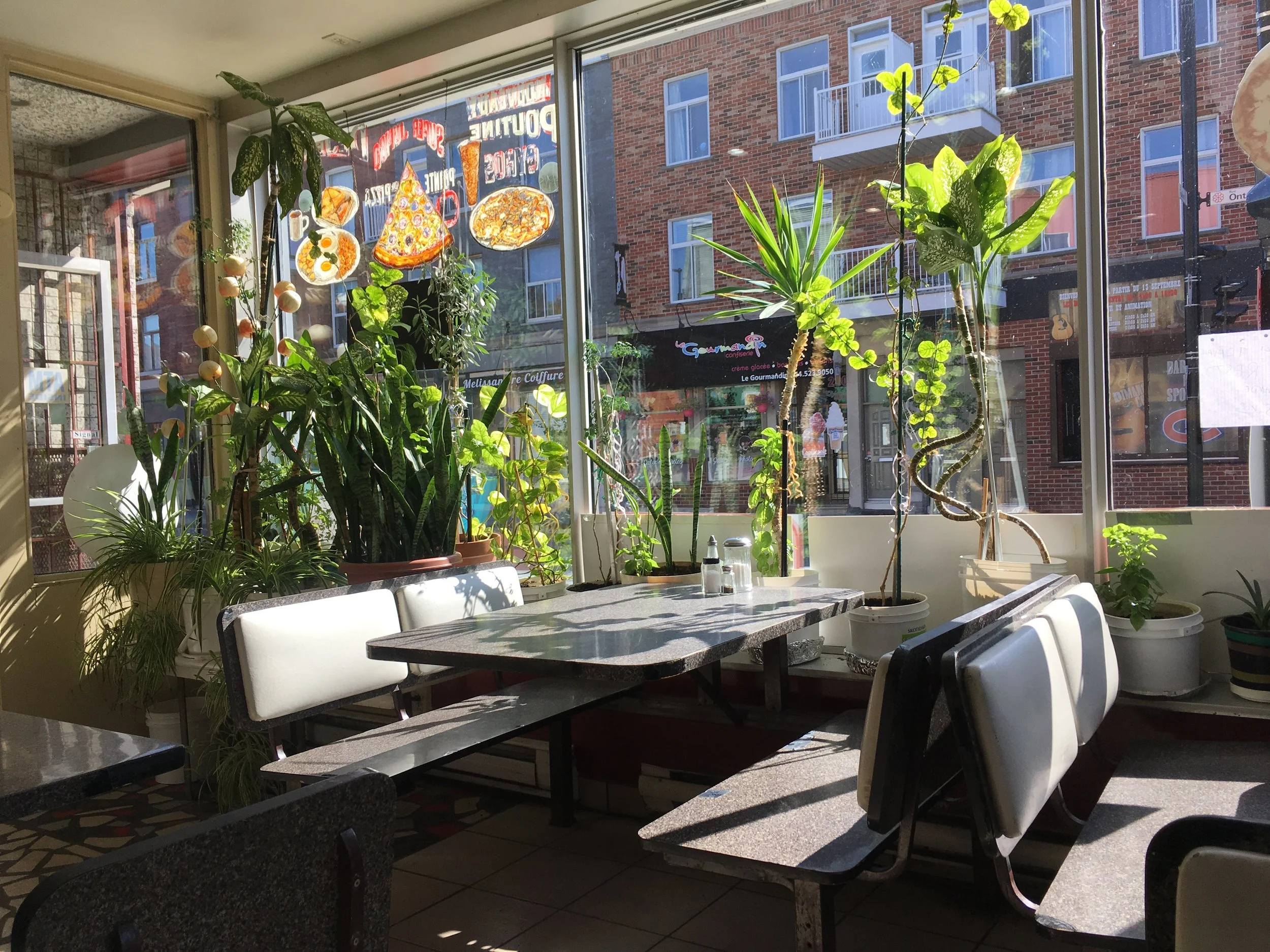 Sunlit indoor restaurant corner with white-topped tables, white chairs, and an abundance of potted green plants near large windows showing brick buildings outside.