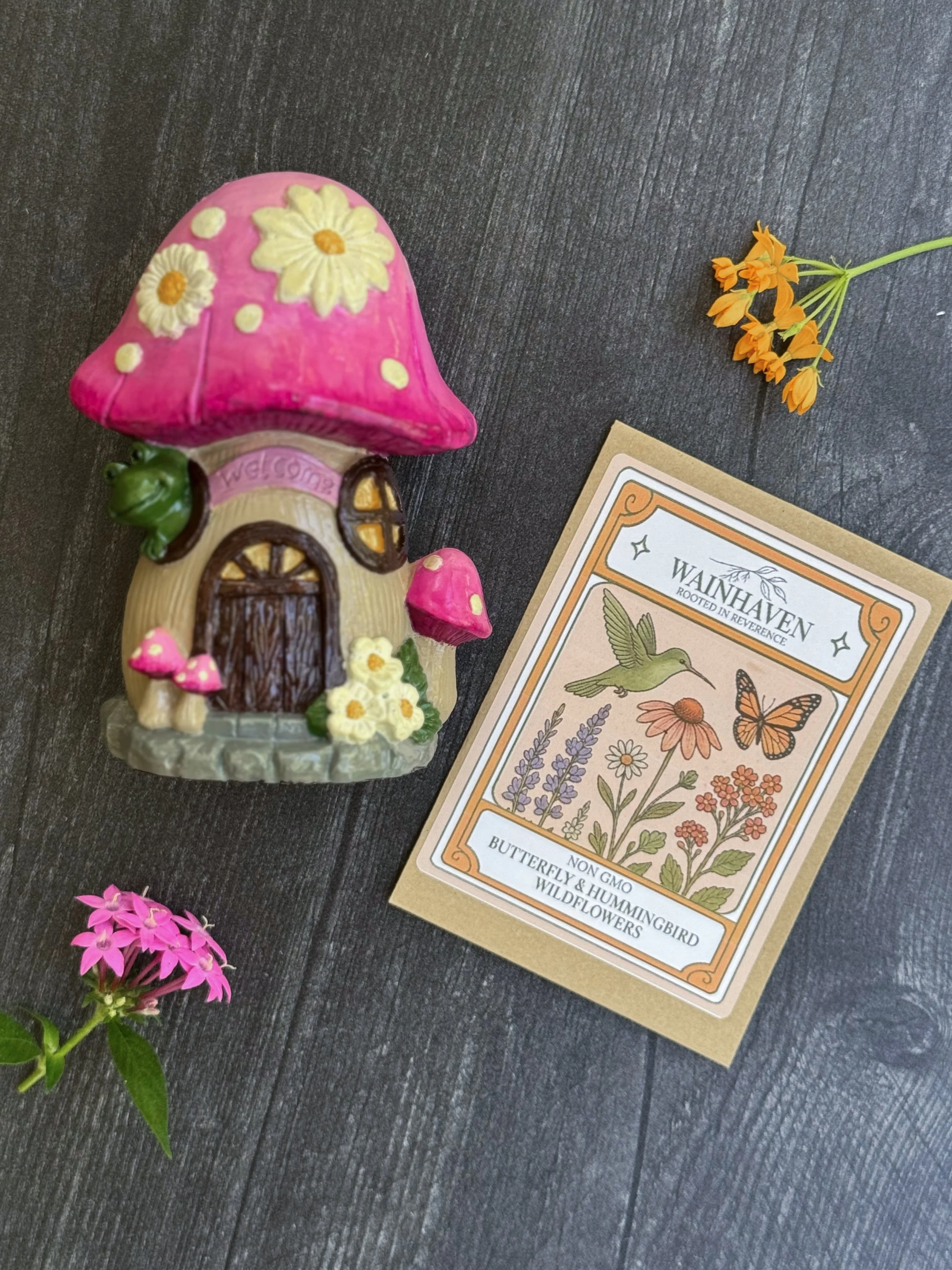 Butterfly & Hummingbird Seed Fairy Set