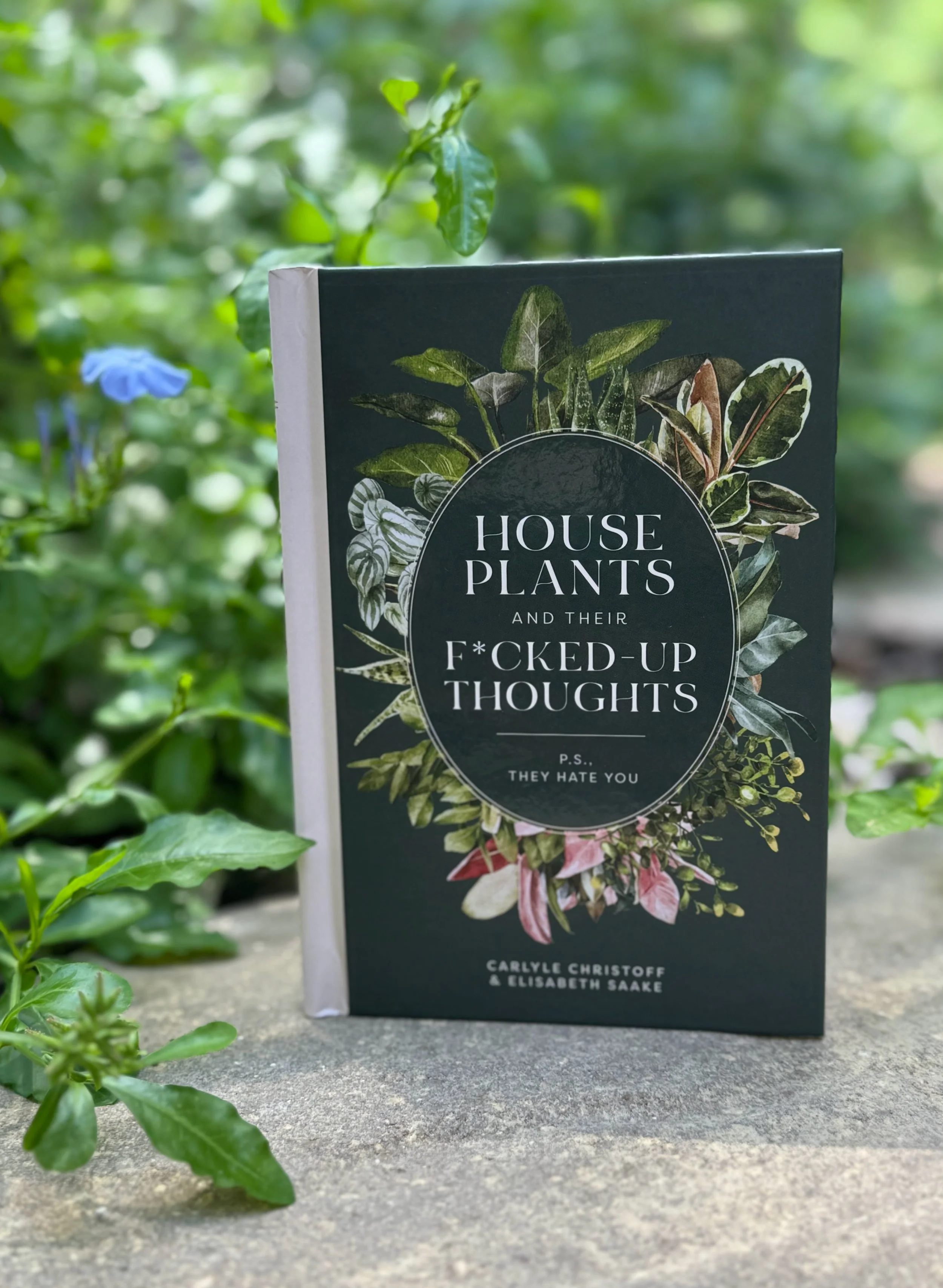 Houseplants and Their F*cked-Up Thoughts By Carlyle Christoff