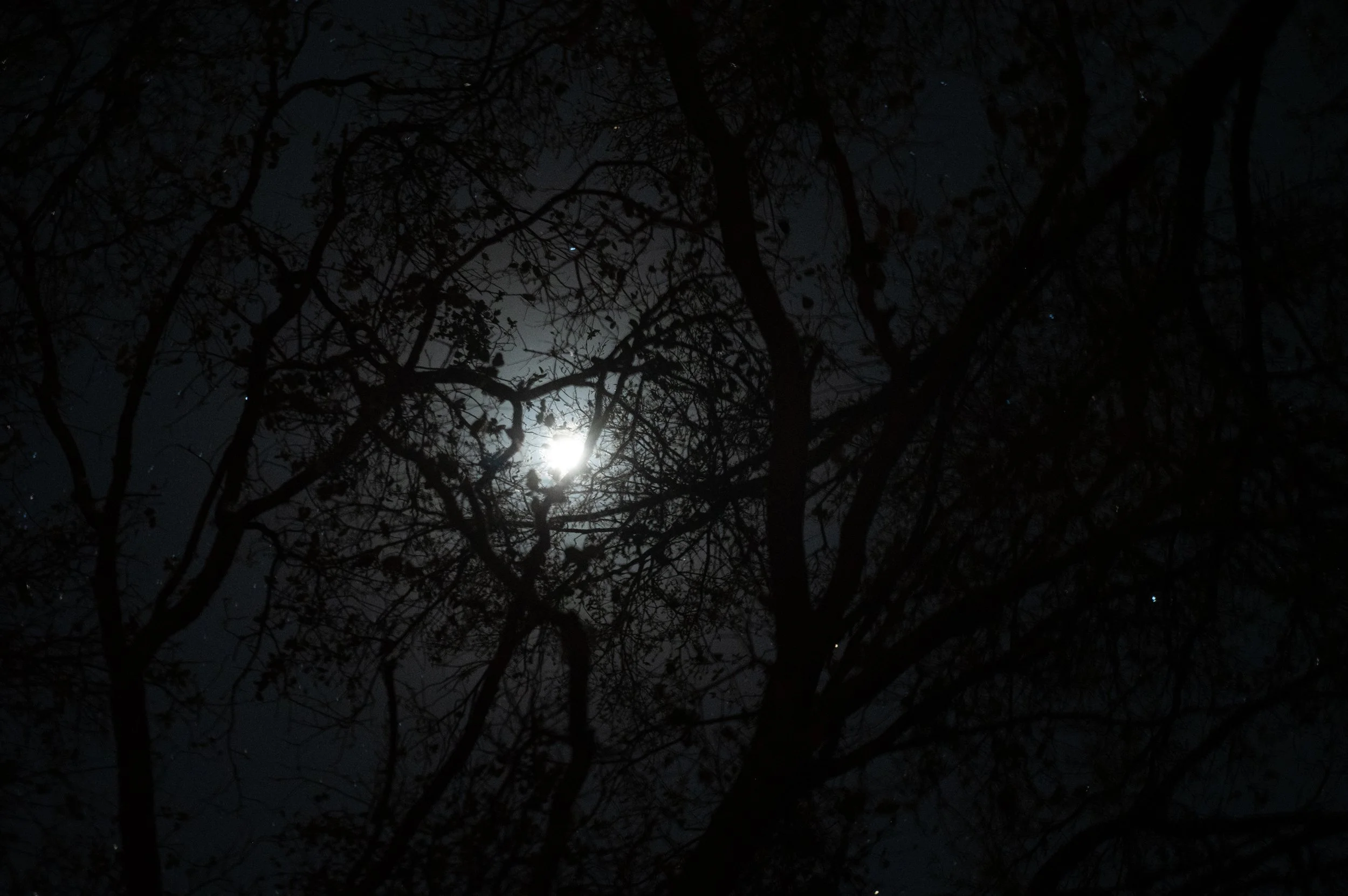 The Longest Night – Winter Solstice Guided Meditation 12/21/2026