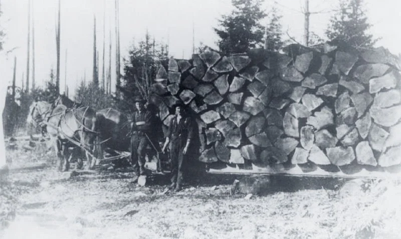 Soames and Chamberlin, 1909