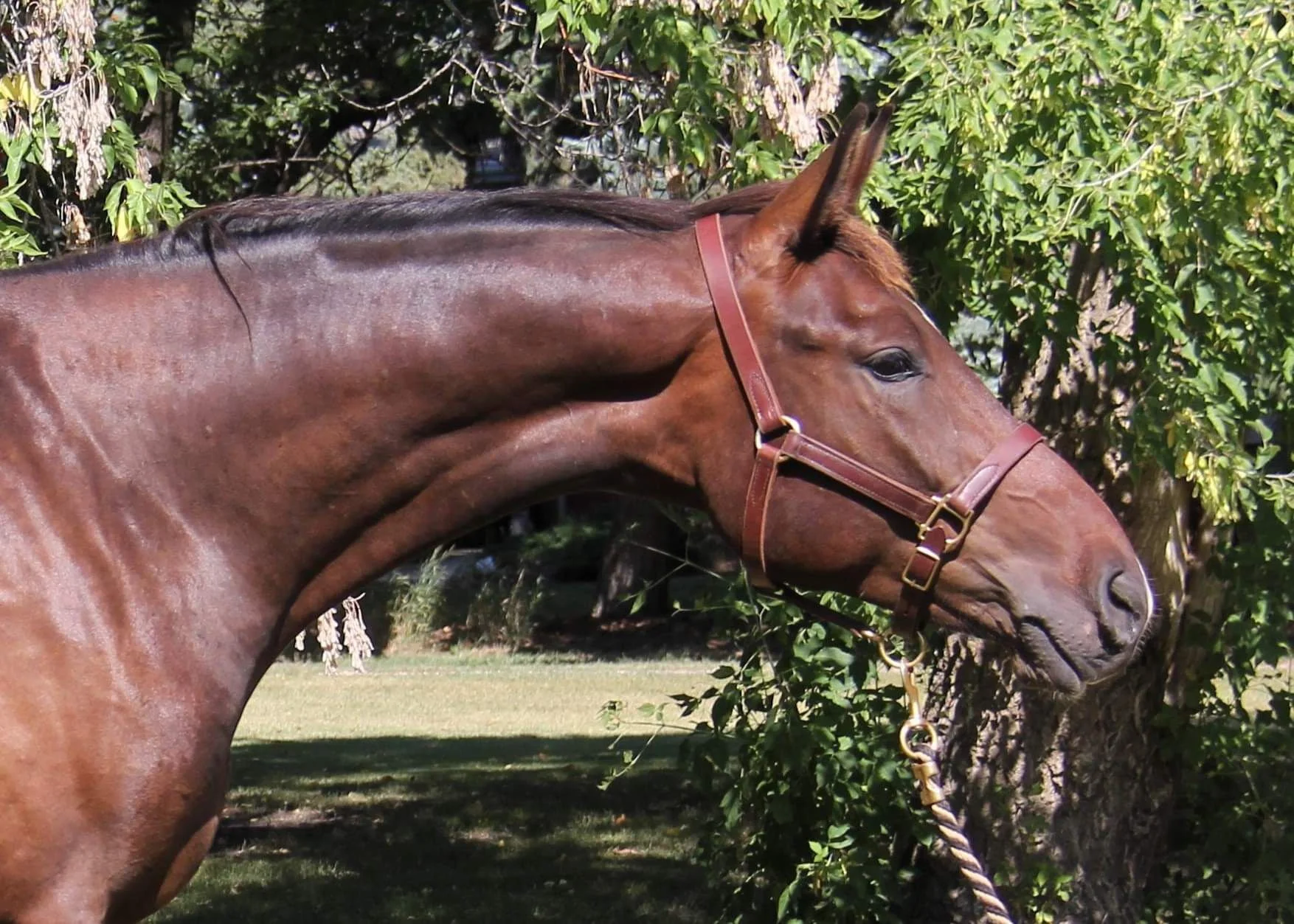 WhatsApp Image 2025-05-16 at 13.44.29 (1).jpeg