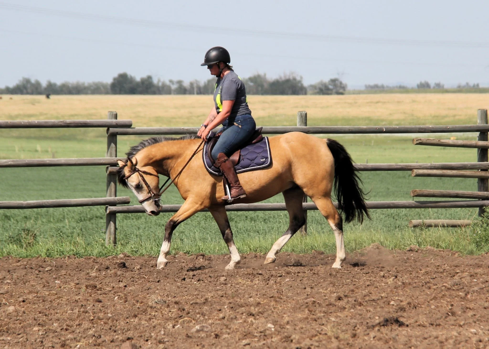 WhatsApp Image 2025-07-12 at 08.24.44 (4).jpeg