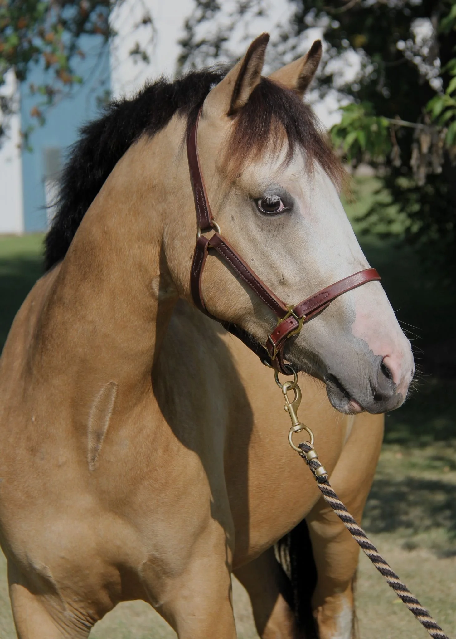 WhatsApp Image 2025-05-16 at 13.49.14 (1).jpeg