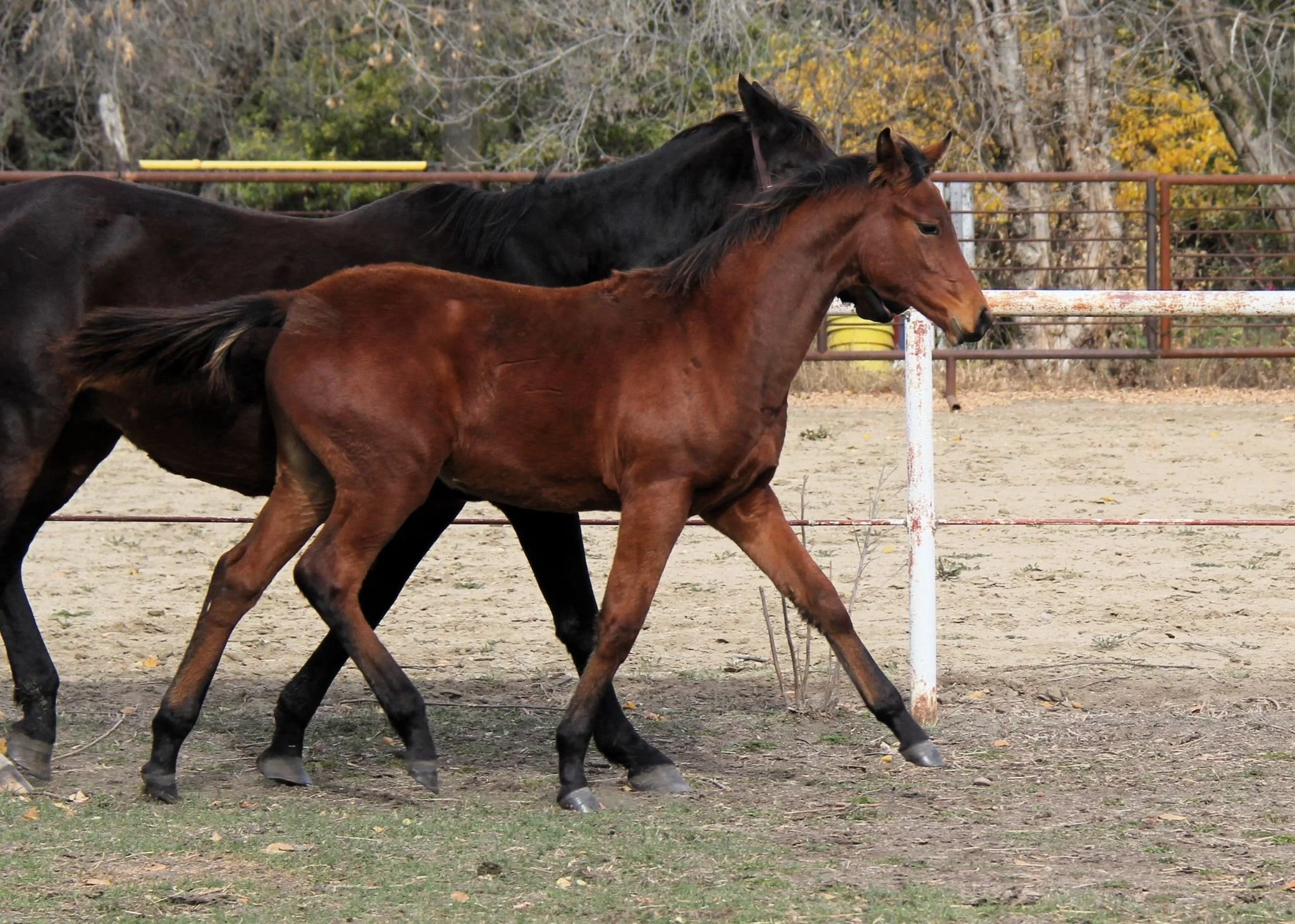 WhatsApp Image 2025-05-16 at 14.18.14.jpeg