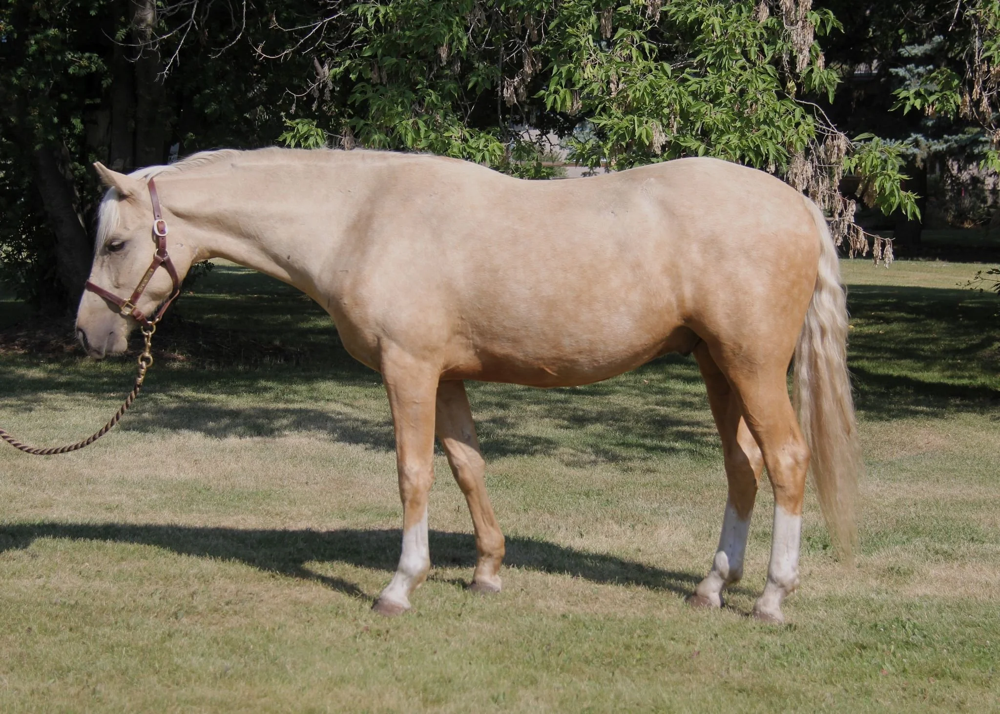 WhatsApp Image 2025-05-16 at 13.50.54.jpeg