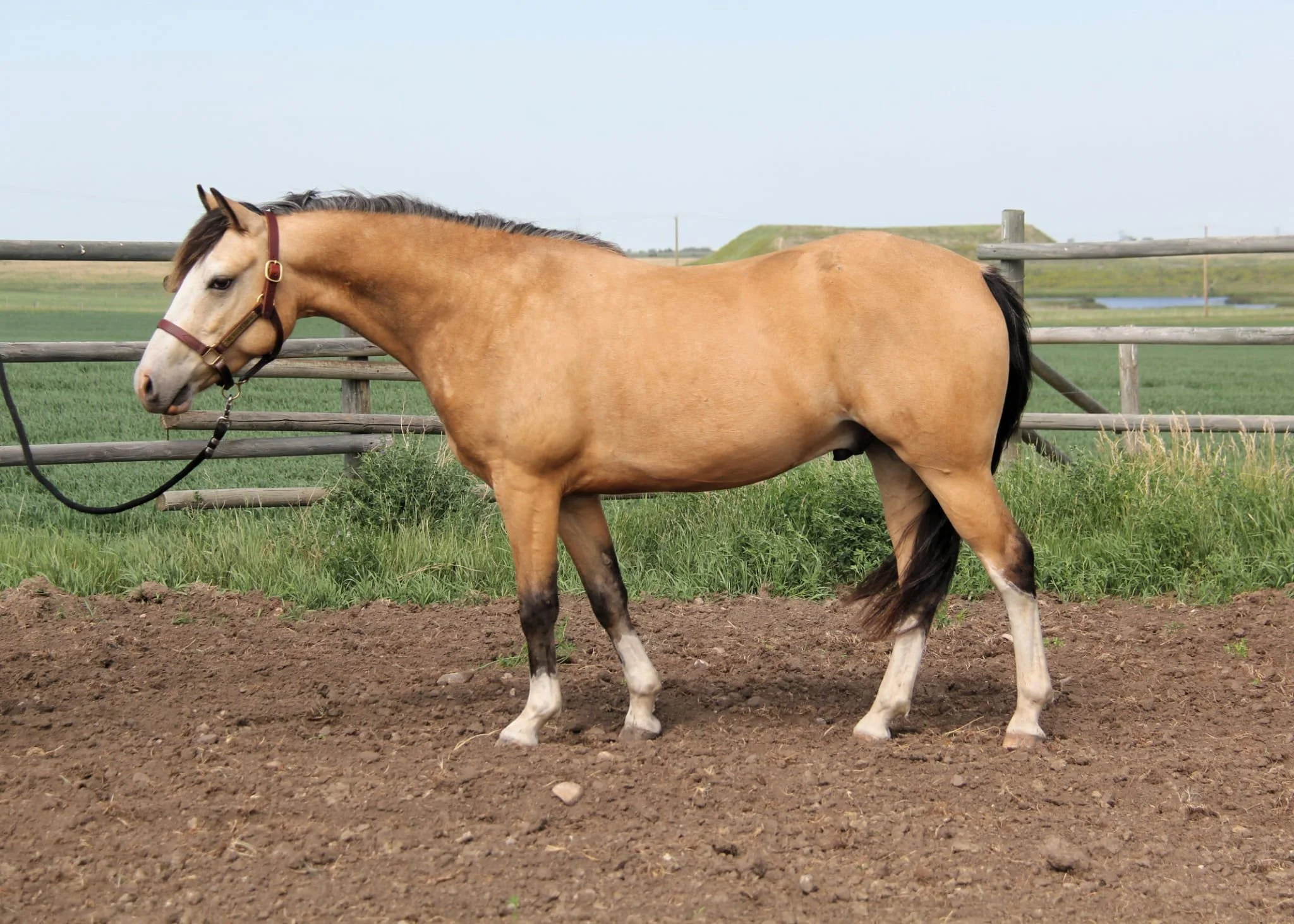 WhatsApp Image 2025-07-12 at 08.24.44.jpeg