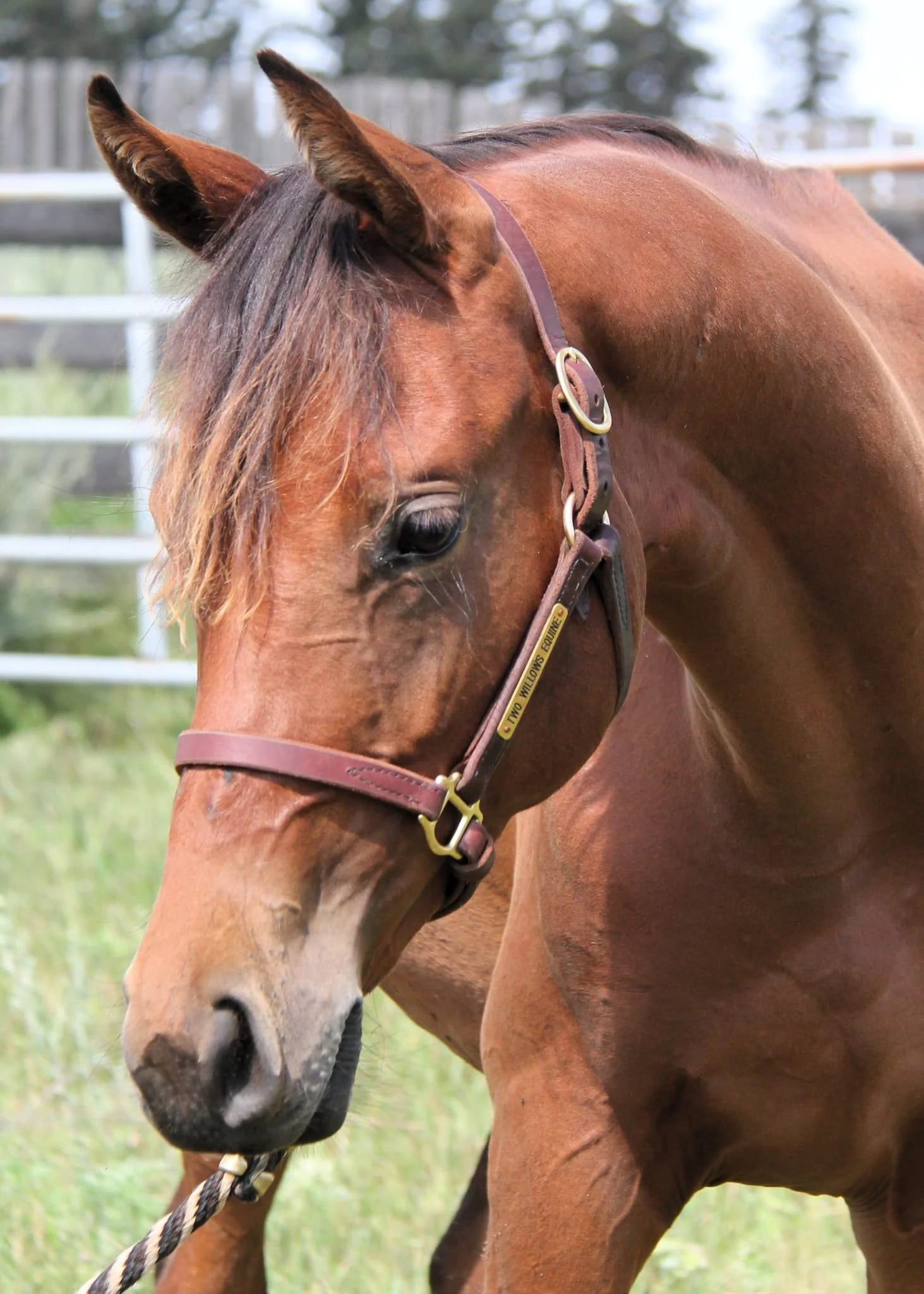 WhatsApp Image 2025-08-04 at 14.13.41 (1).jpeg