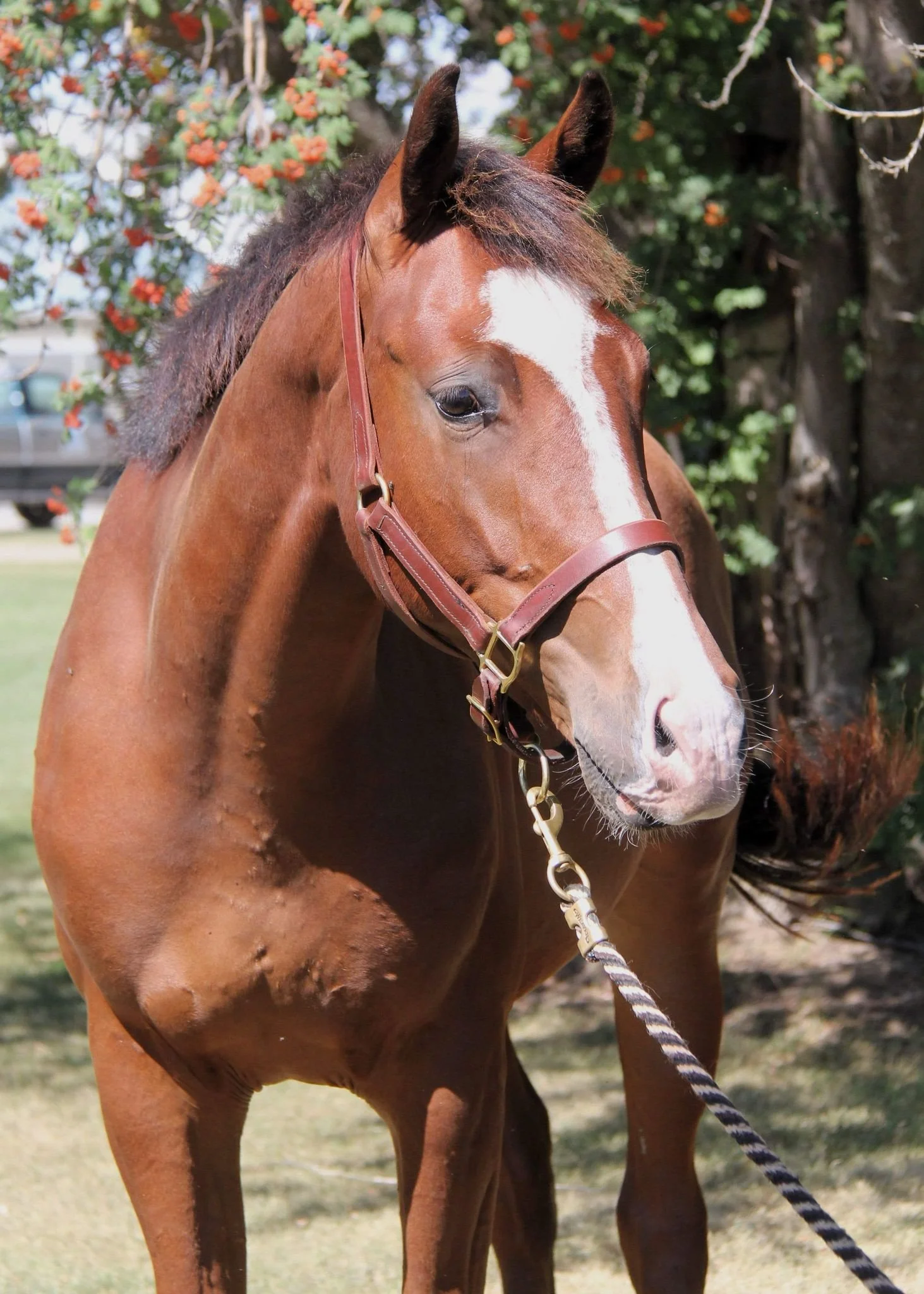 WhatsApp Image 2025-05-16 at 13.45.12 (3).jpeg