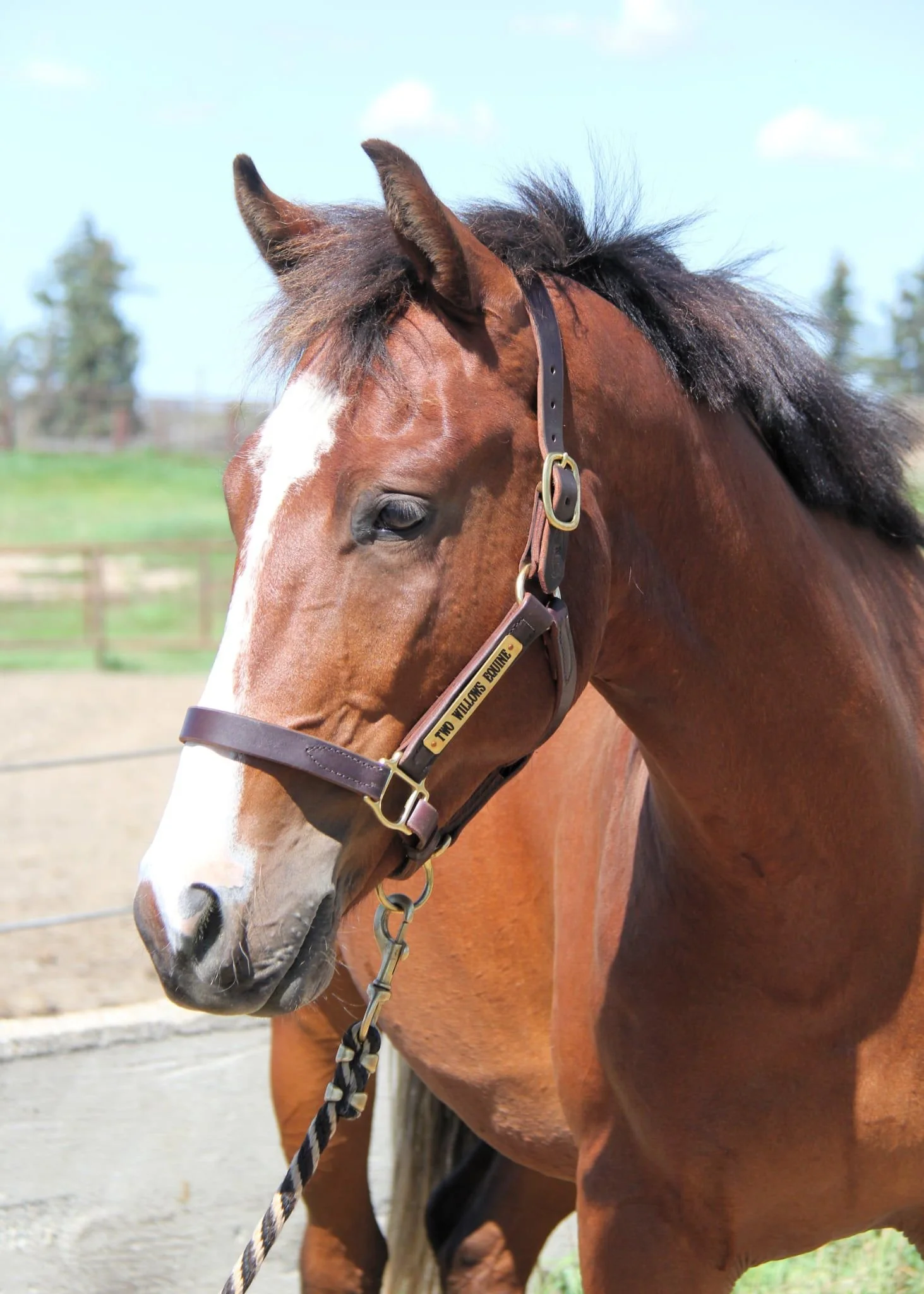 WhatsApp Image 2025-08-19 at 12.07.05 (1).jpeg