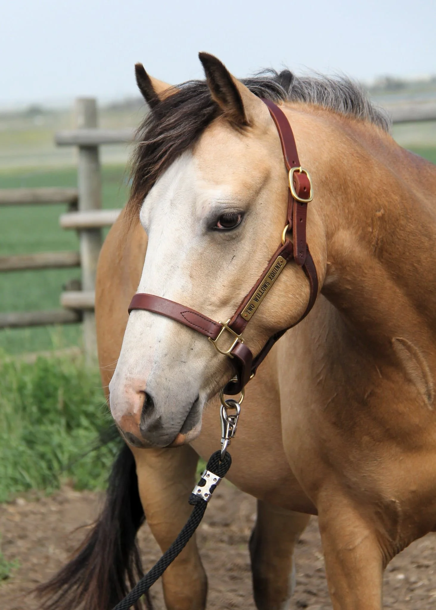 WhatsApp Image 2025-07-12 at 08.24.44 (1).jpeg