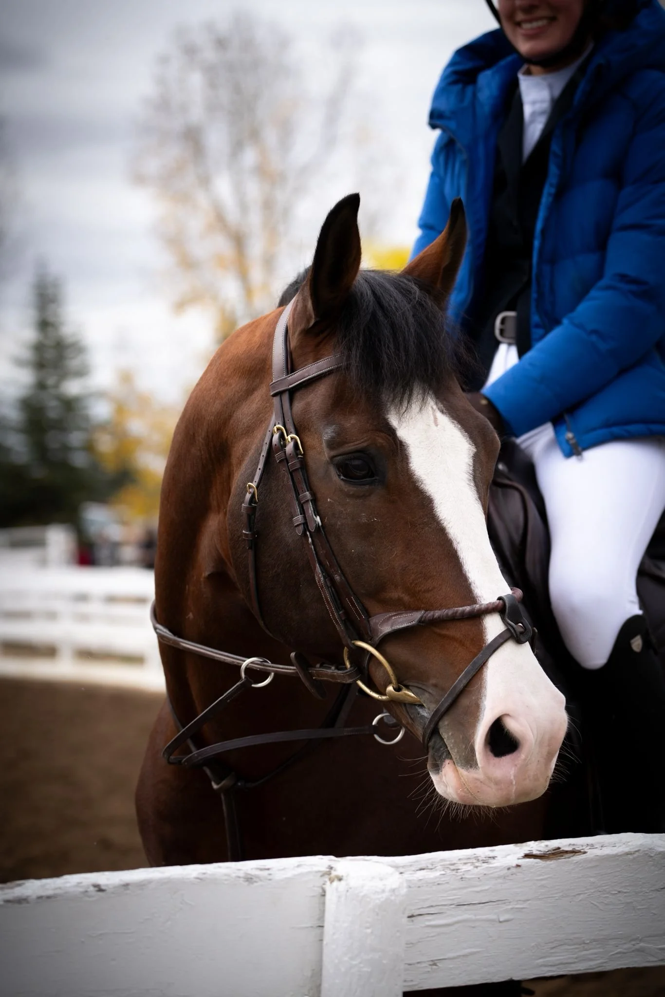 Photo Credit: Action Media Projects