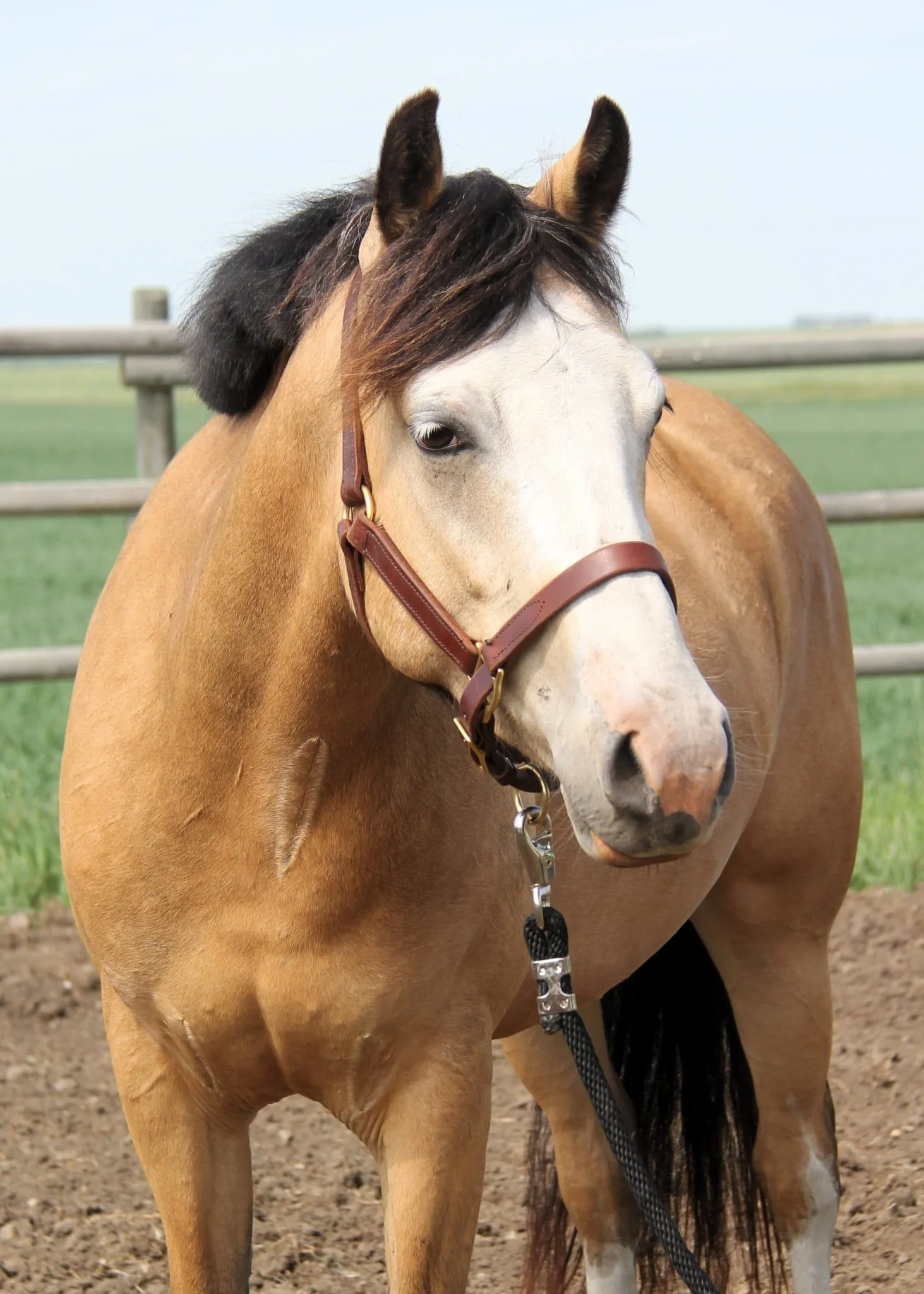 WhatsApp Image 2025-07-12 at 08.24.44 (2).jpeg