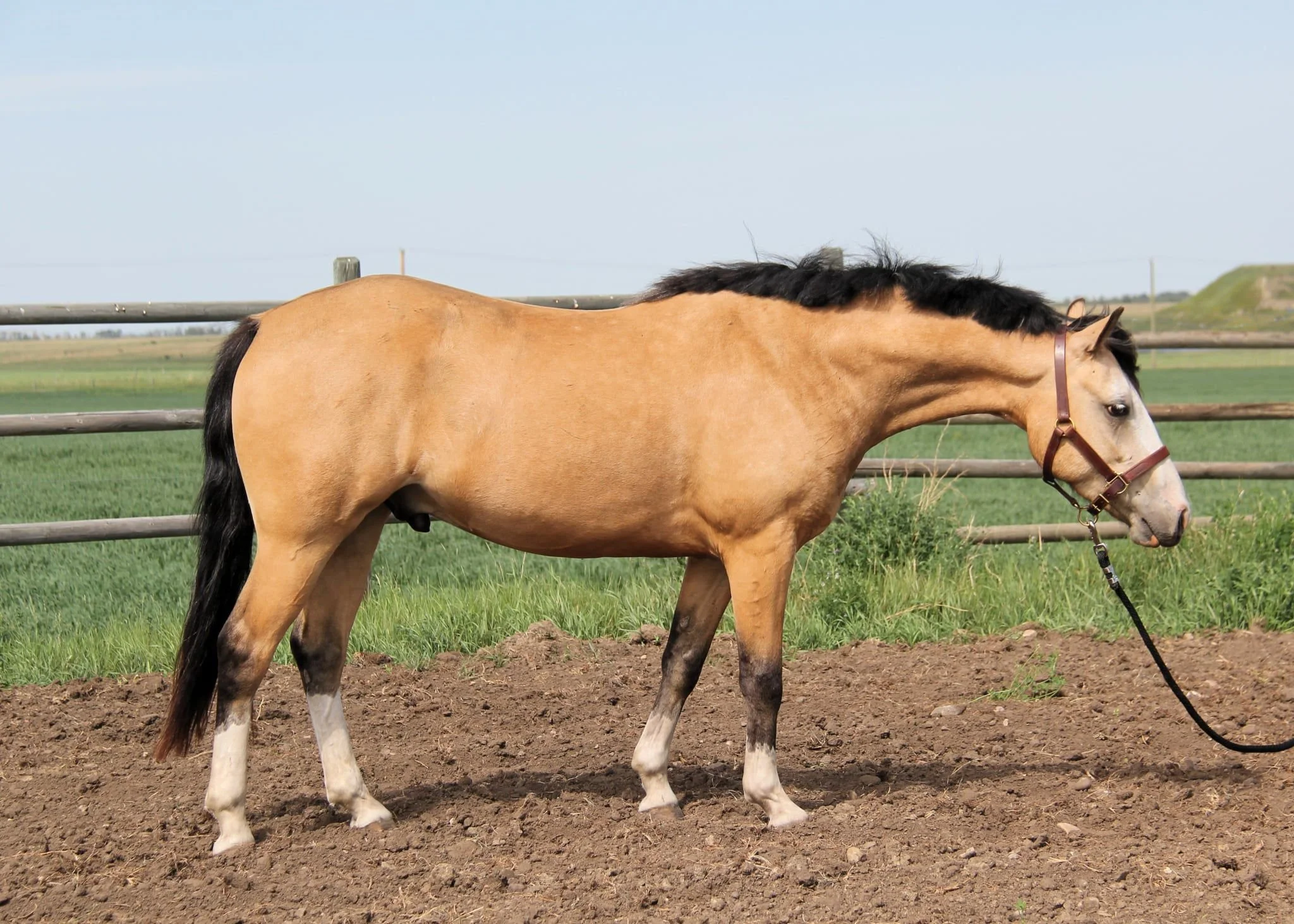 WhatsApp Image 2025-07-12 at 08.24.43.jpeg