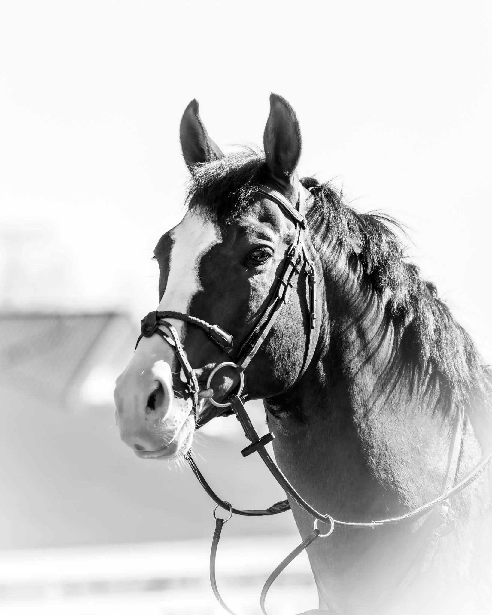 Photo Credit: Action Media Projects