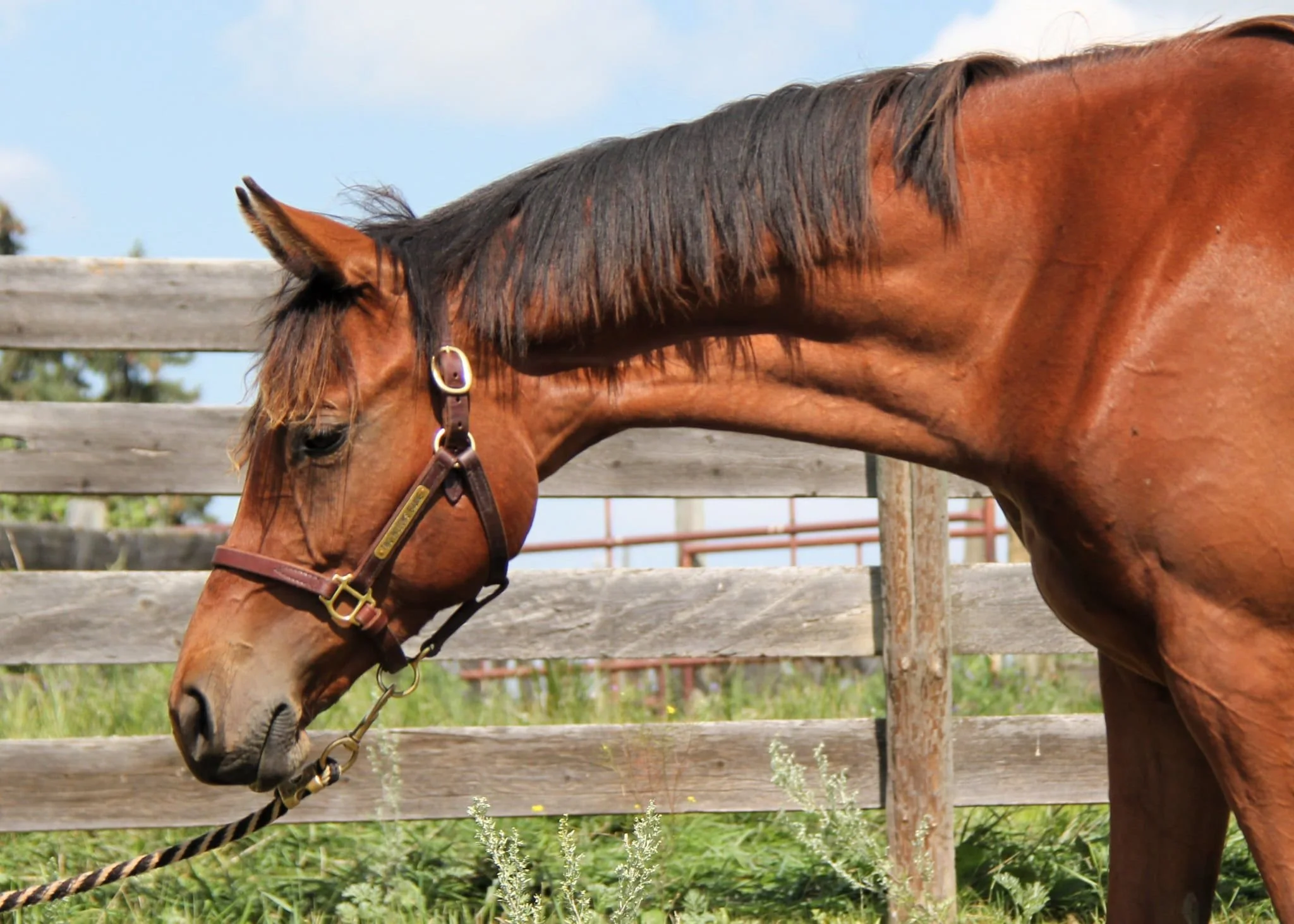 WhatsApp Image 2025-08-04 at 14.13.41 (2).jpeg