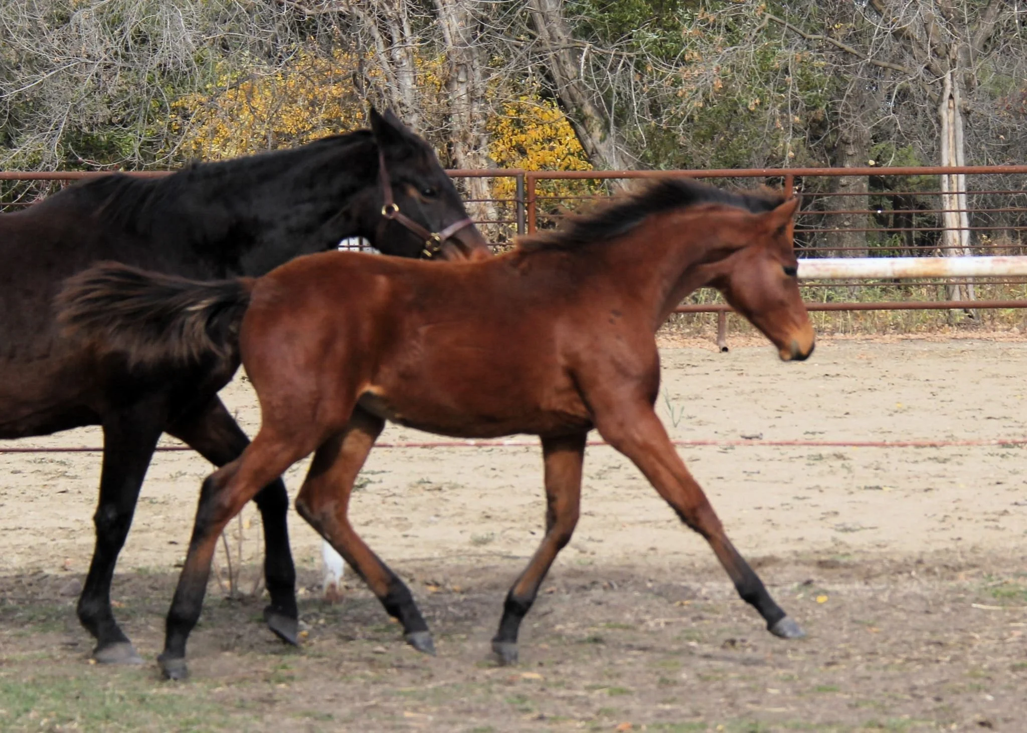 WhatsApp Image 2025-05-16 at 14.18.14 (1).jpeg