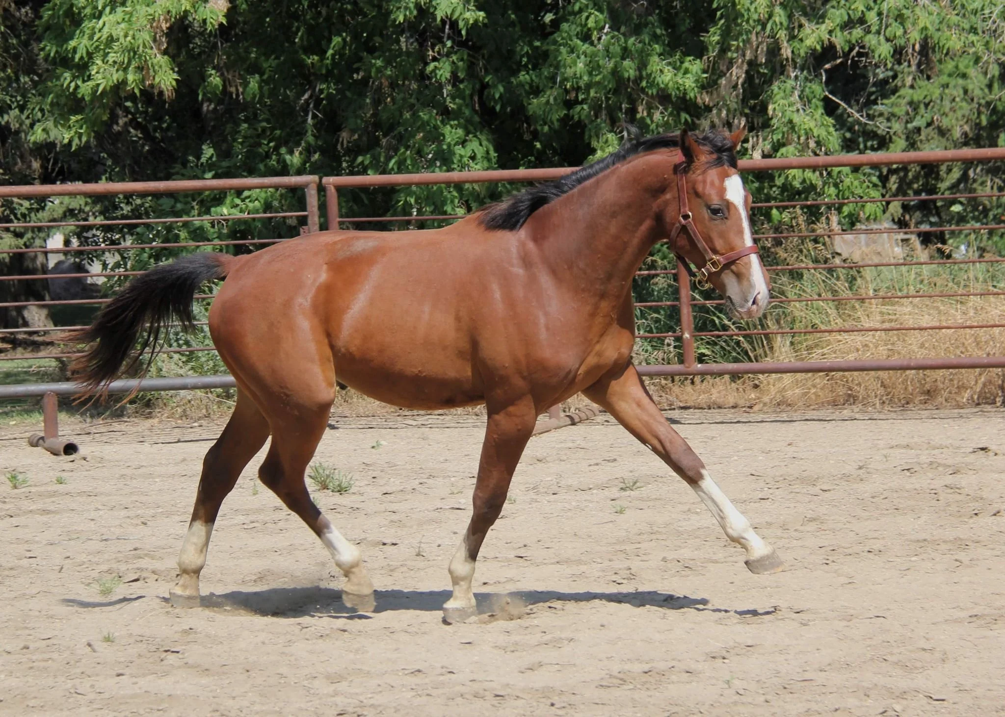 WhatsApp Image 2025-05-16 at 13.45.12 (2).jpeg