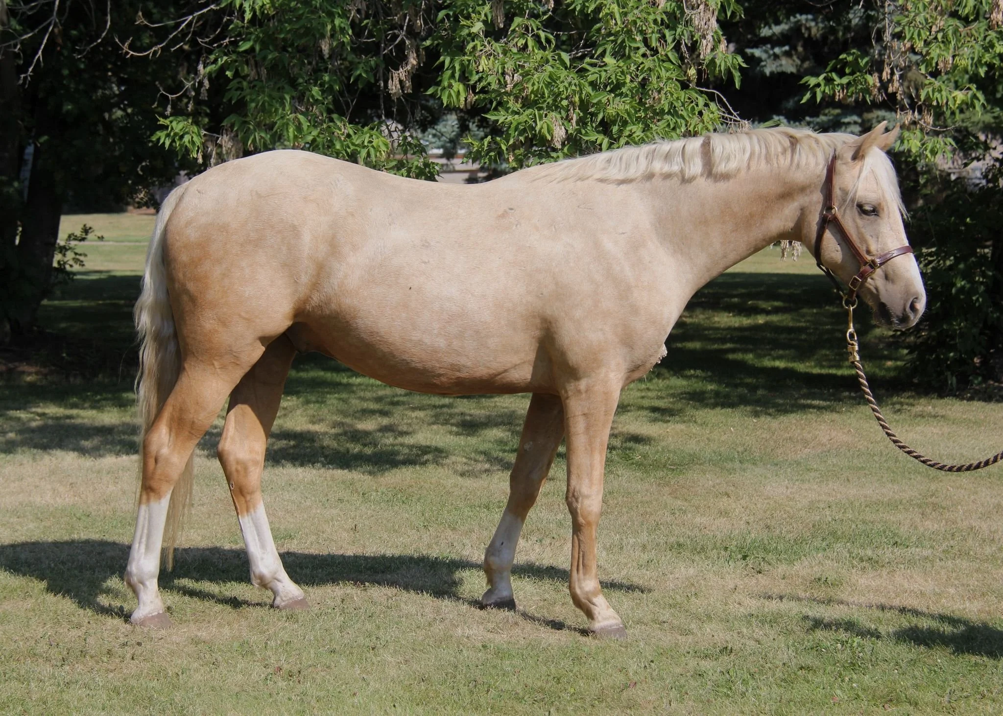 WhatsApp Image 2025-05-16 at 13.50.53.jpeg