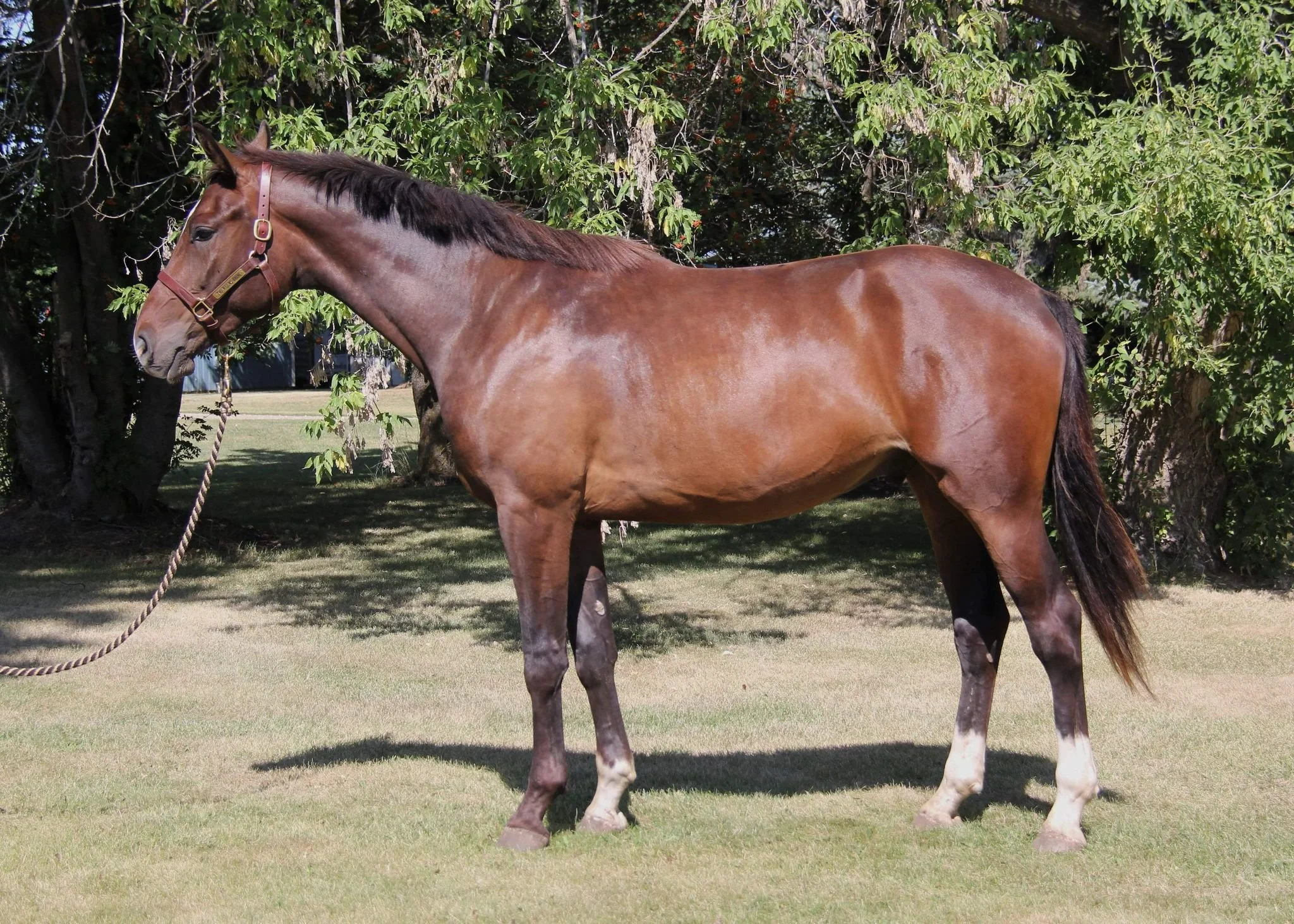 WhatsApp Image 2025-05-16 at 13.44.28 (1).jpeg