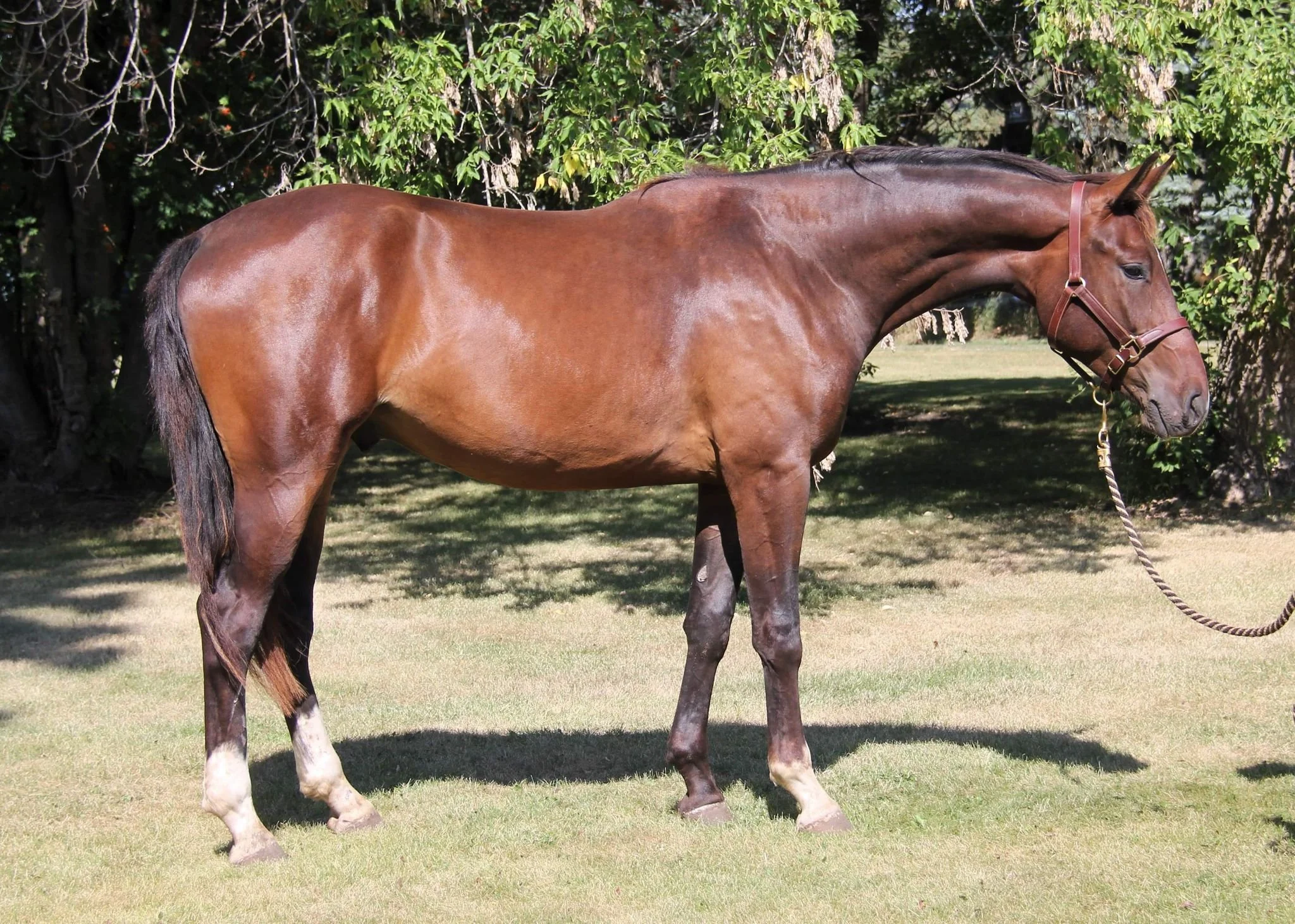 WhatsApp Image 2025-05-16 at 13.44.28.jpeg