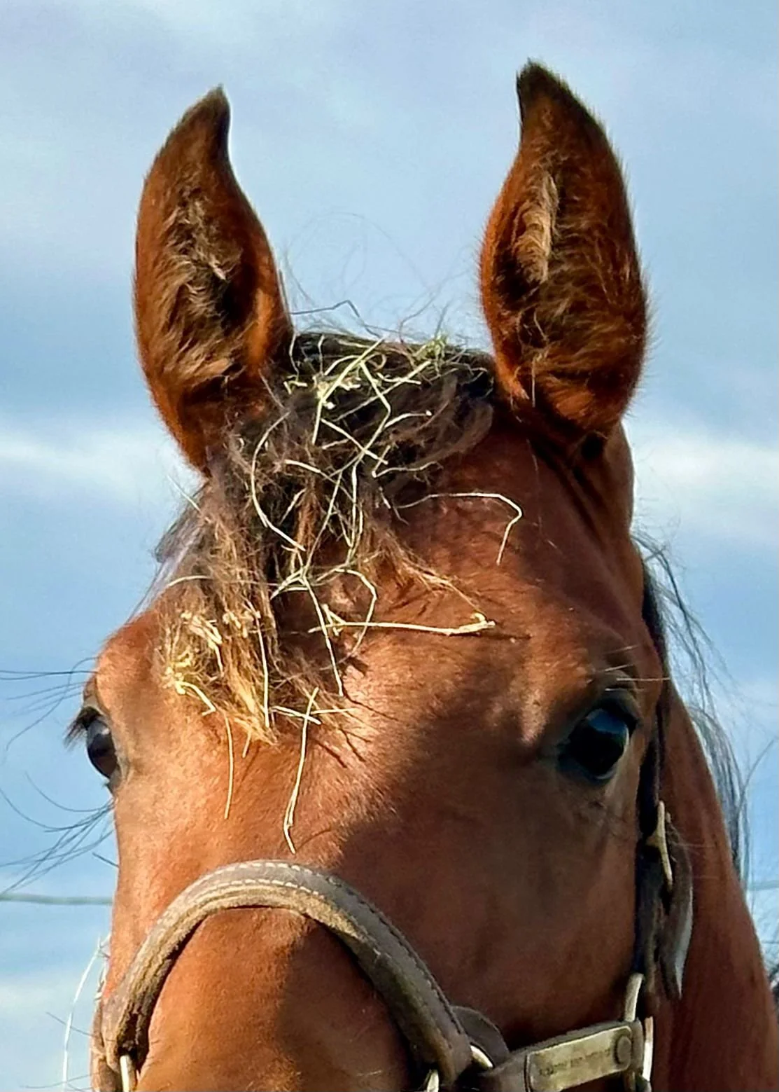 WhatsApp Image 2025-07-08 at 08.47.44.jpeg