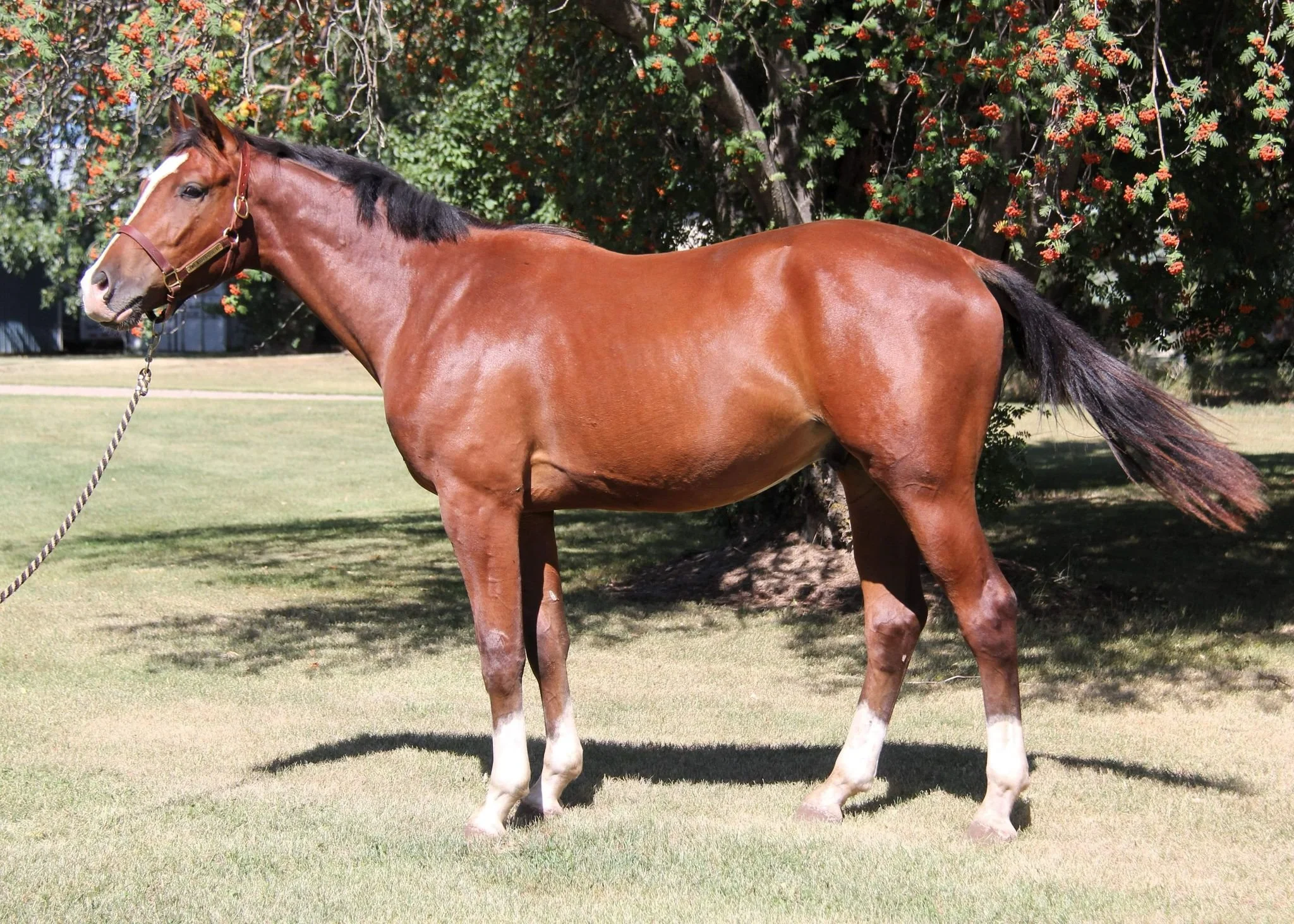 WhatsApp Image 2025-05-16 at 13.45.12.jpeg