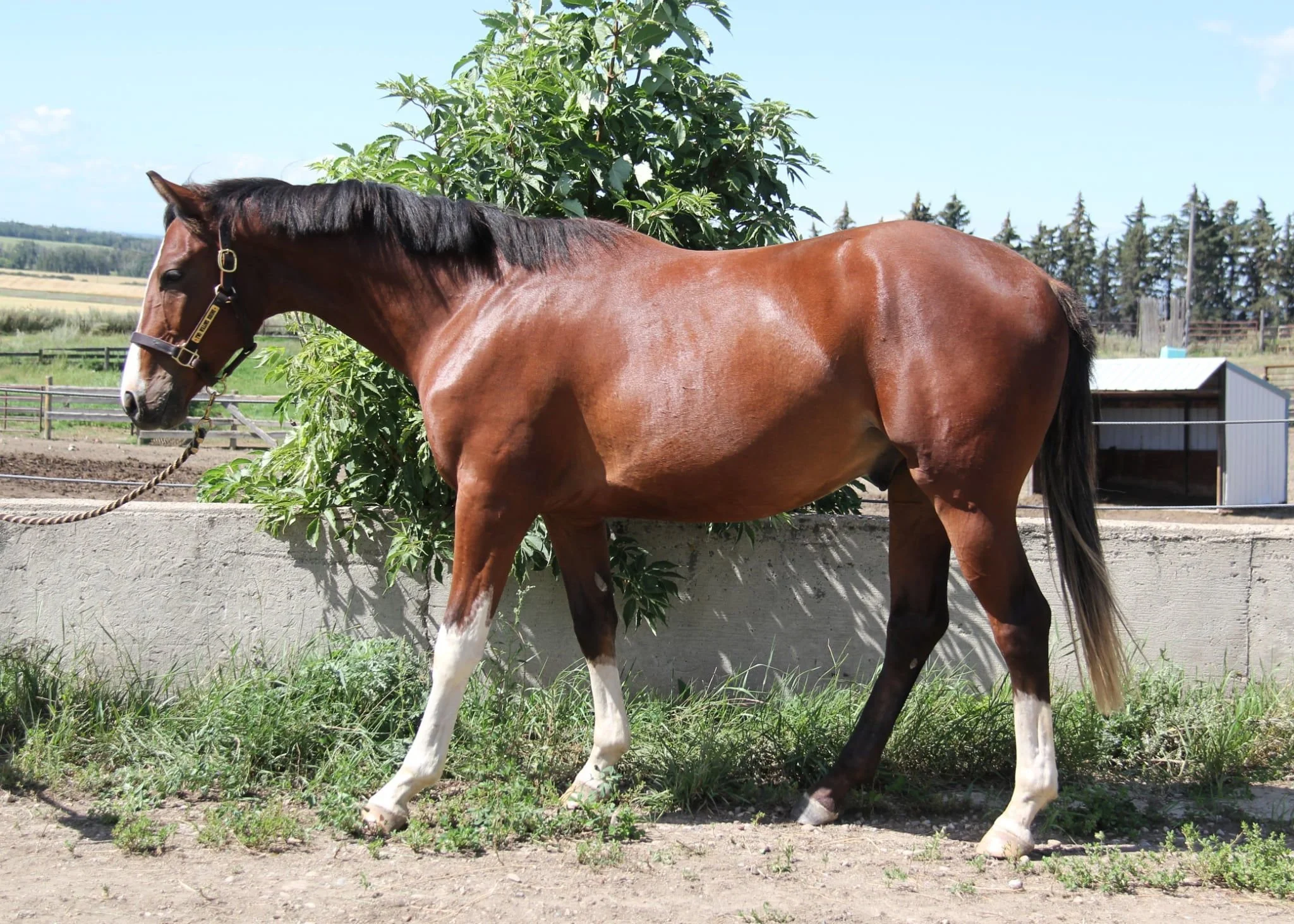 WhatsApp Image 2025-08-19 at 12.07.06.jpeg