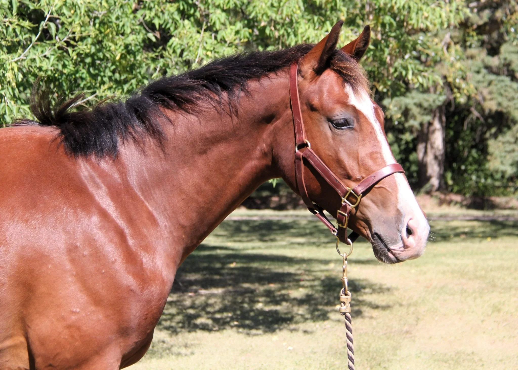 WhatsApp Image 2025-05-16 at 13.45.12 (1).jpeg