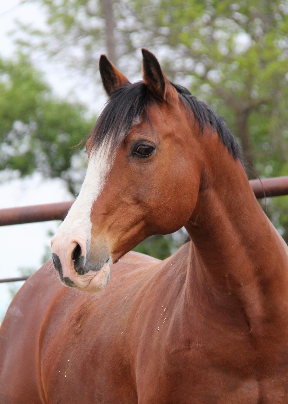 WhatsApp Image 2025-06-03 at 18.40.23.jpeg