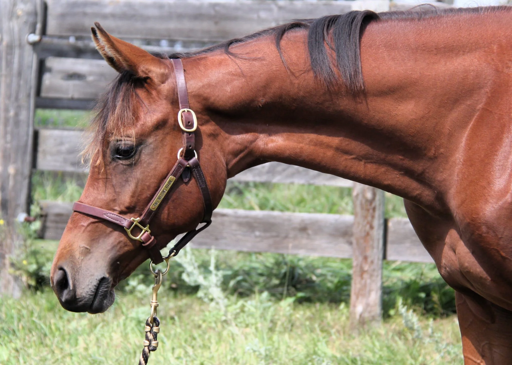 WhatsApp Image 2025-08-04 at 14.13.41.jpeg