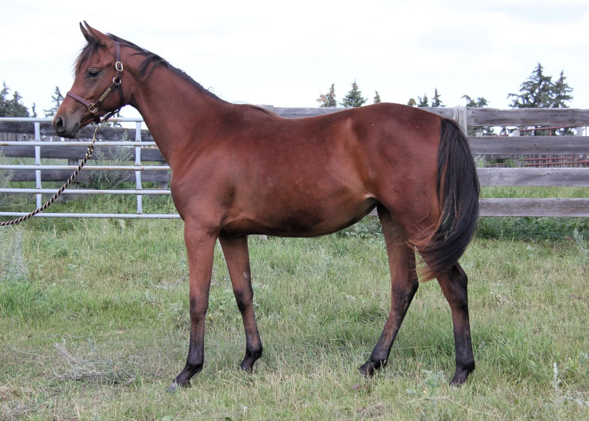 WhatsApp Image 2025-08-04 at 14.13.17.jpeg