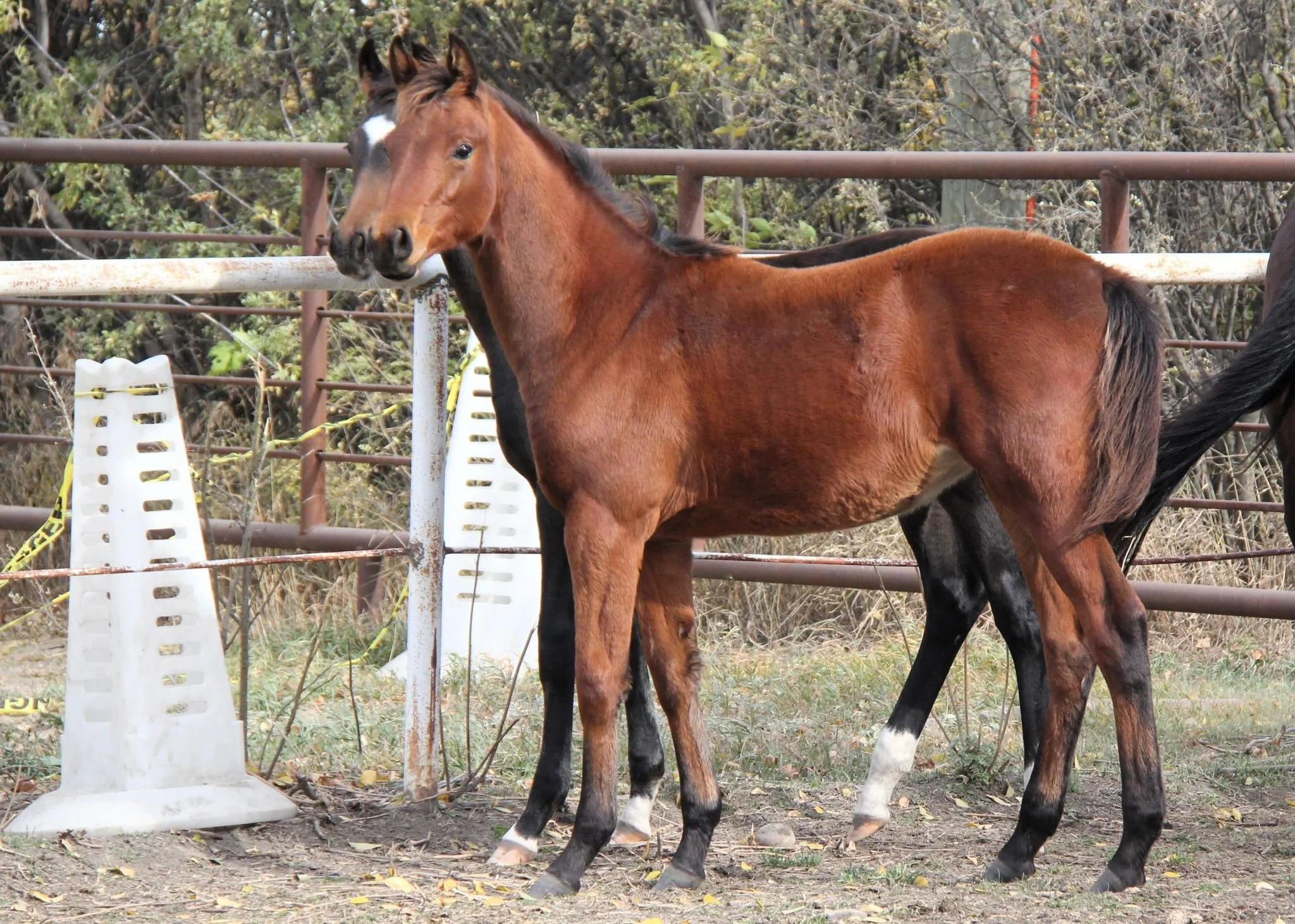 WhatsApp Image 2025-05-16 at 14.18.13.jpeg