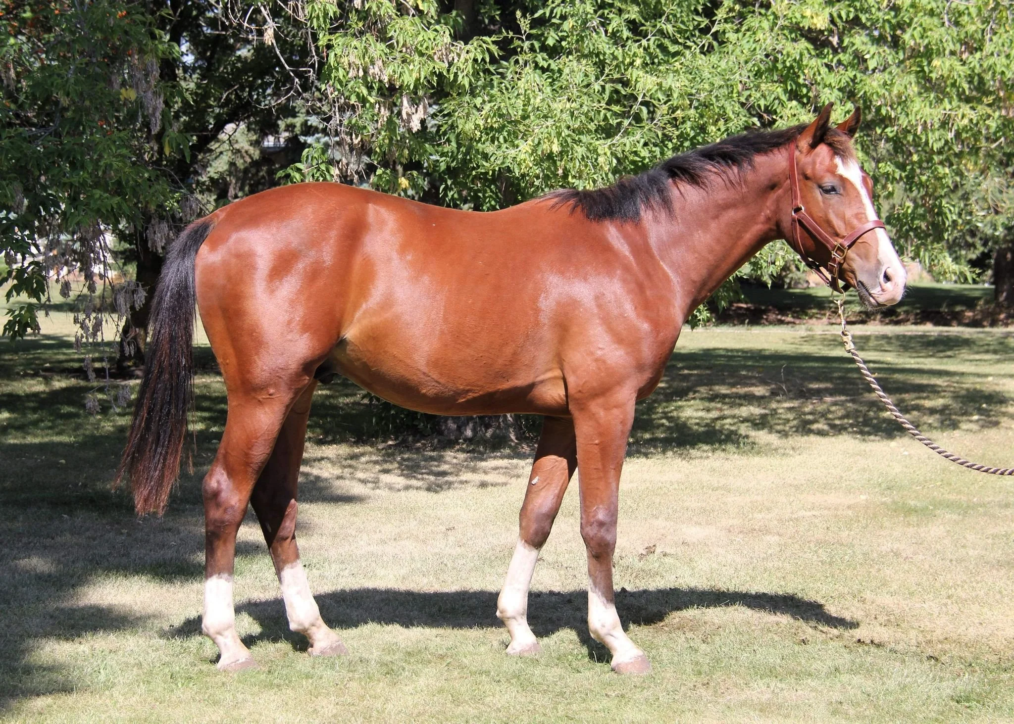 WhatsApp Image 2025-05-16 at 13.45.11.jpeg