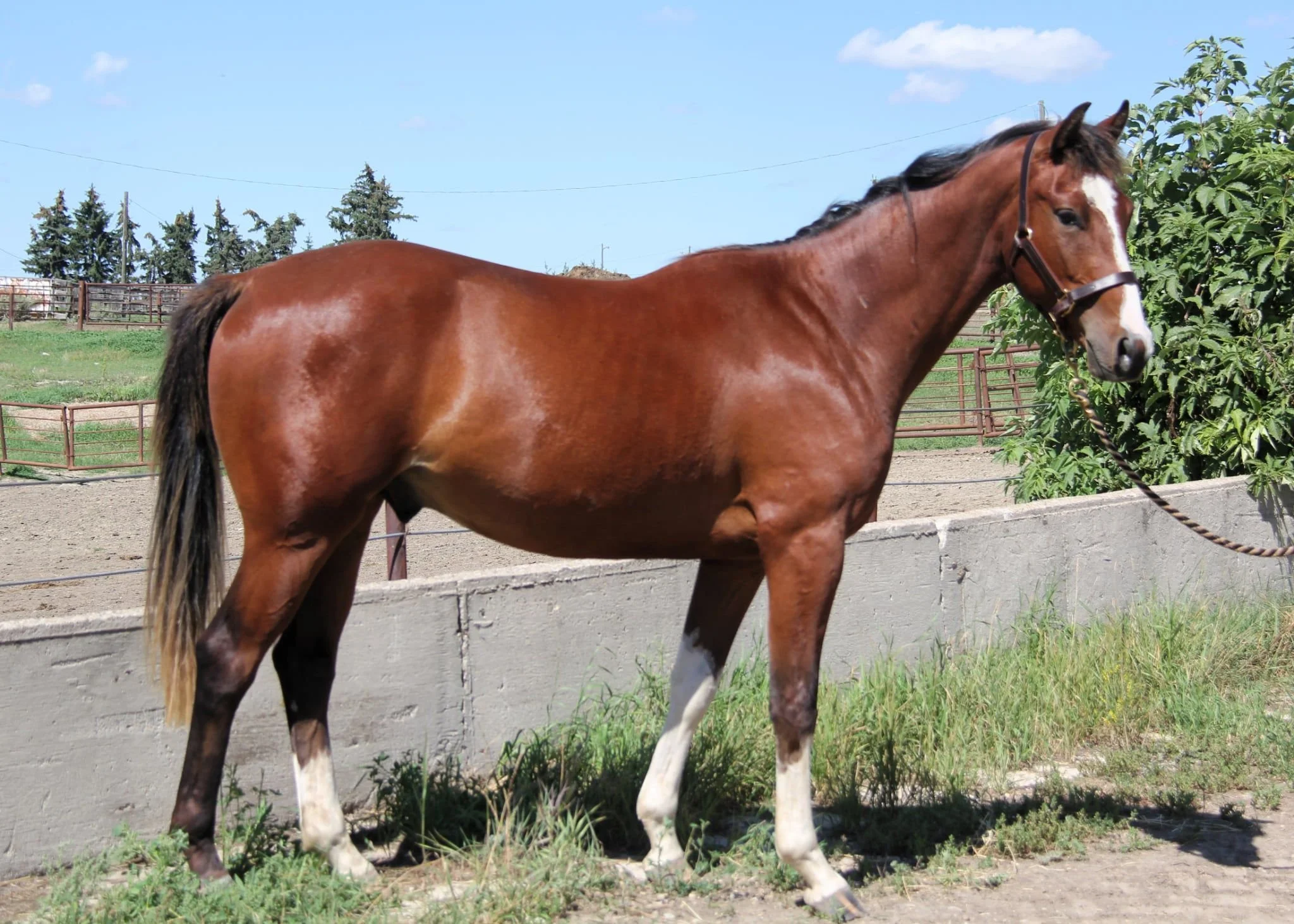 WhatsApp Image 2025-08-19 at 12.07.07.jpeg