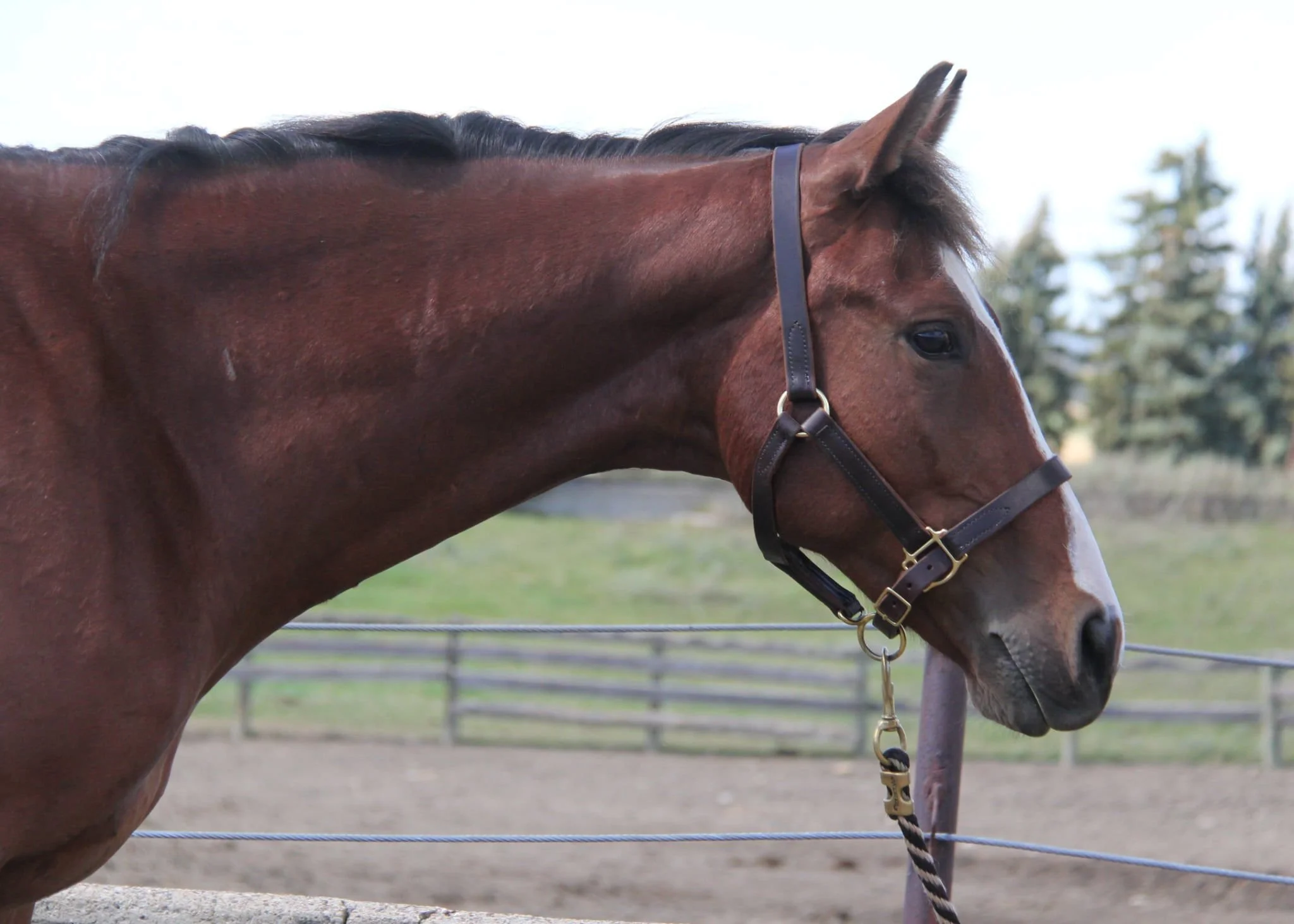 WhatsApp Image 2025-08-19 at 12.07.05.jpeg