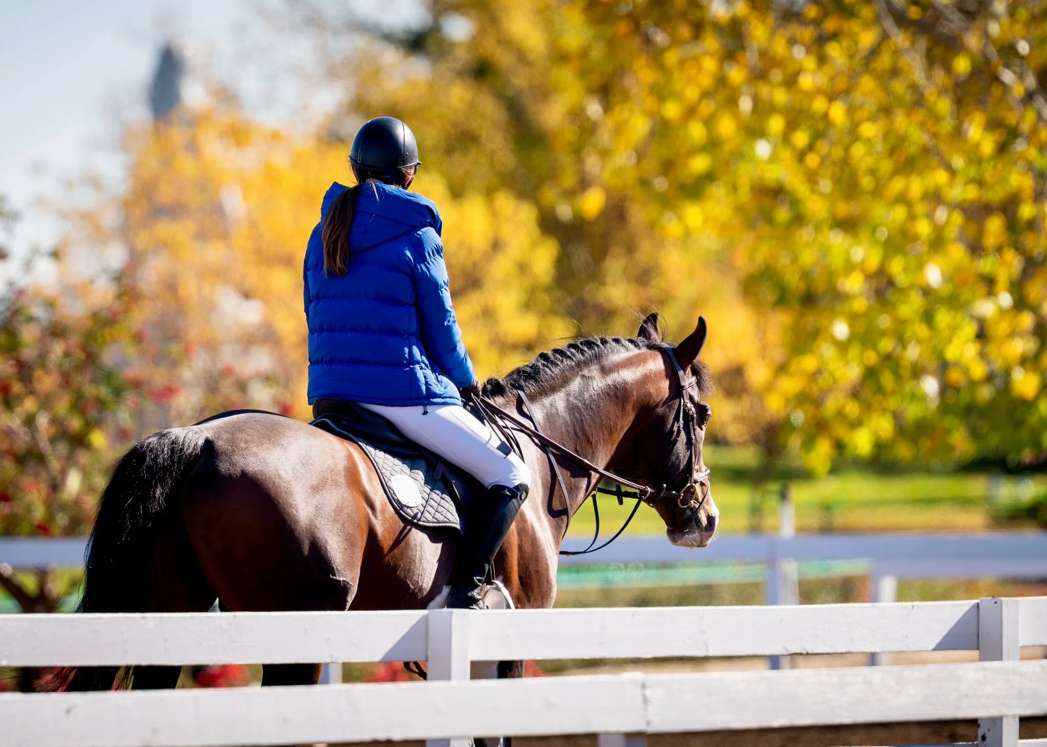 Photo Credit: Action Media Projects