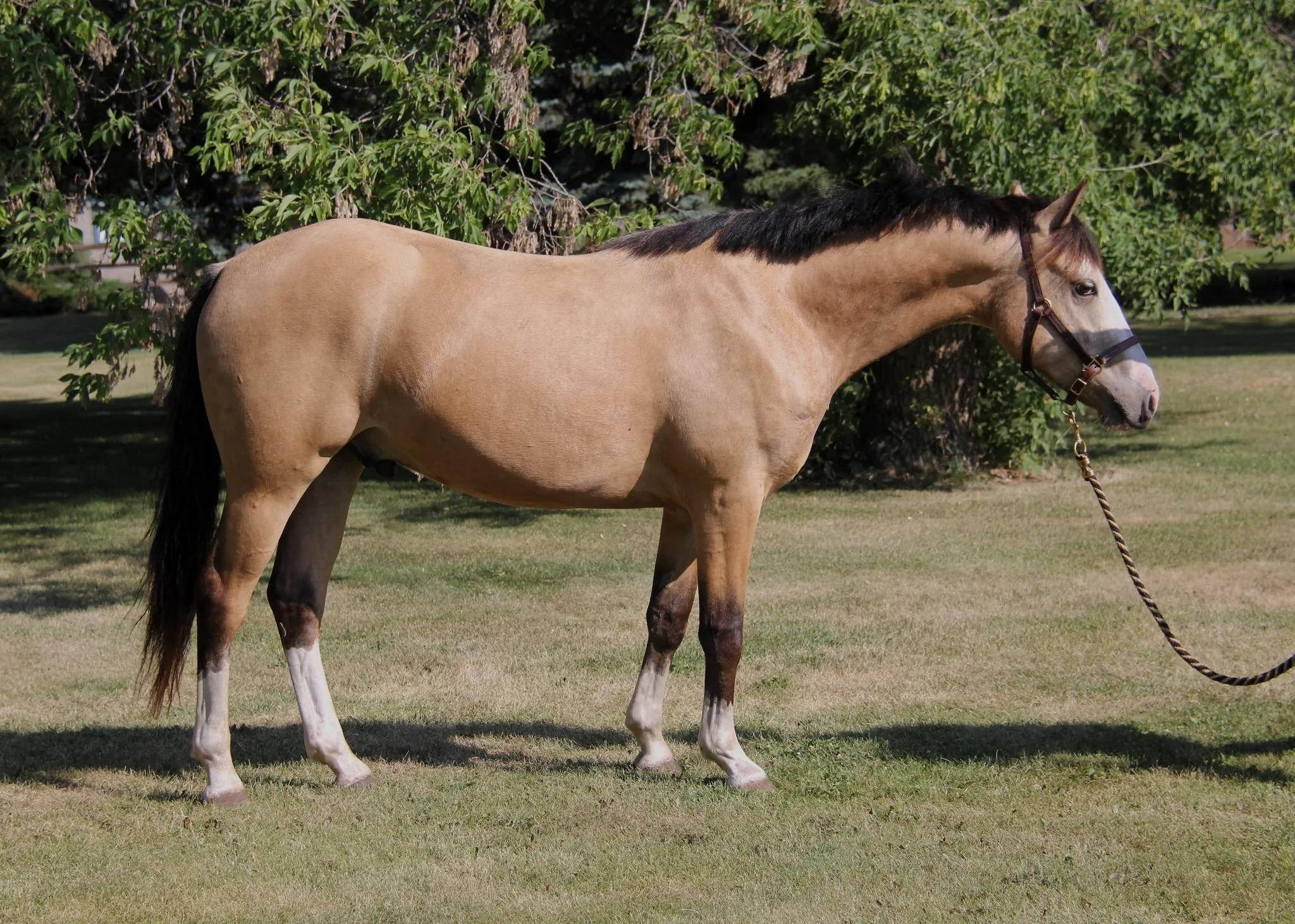 WhatsApp Image 2025-05-16 at 13.49.13.jpeg