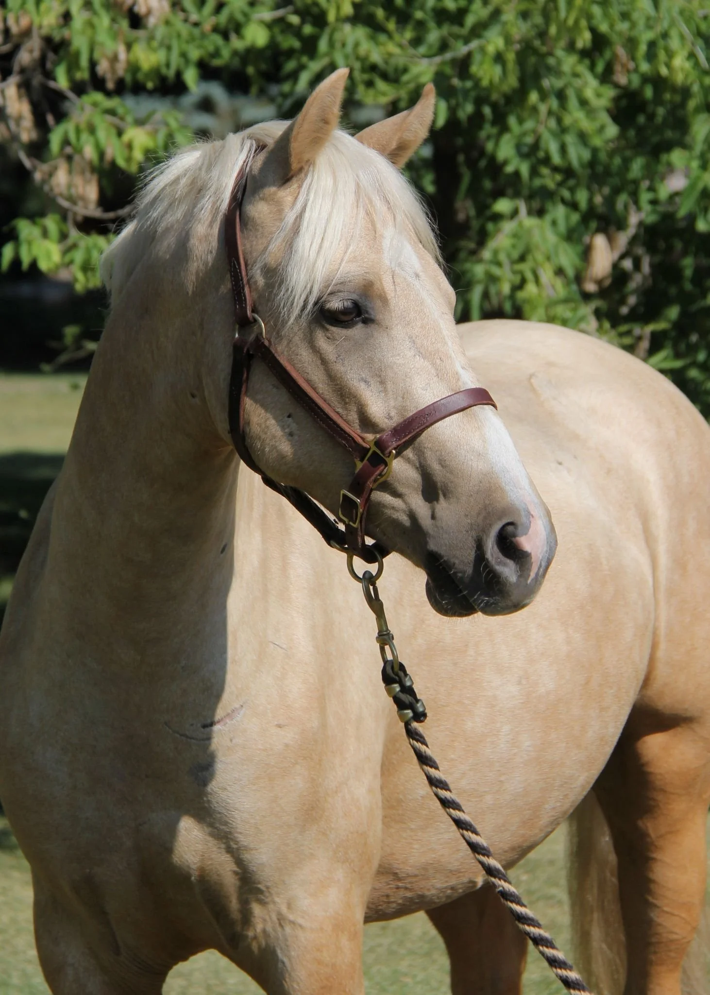 WhatsApp Image 2025-05-16 at 13.50.54 (1).jpeg