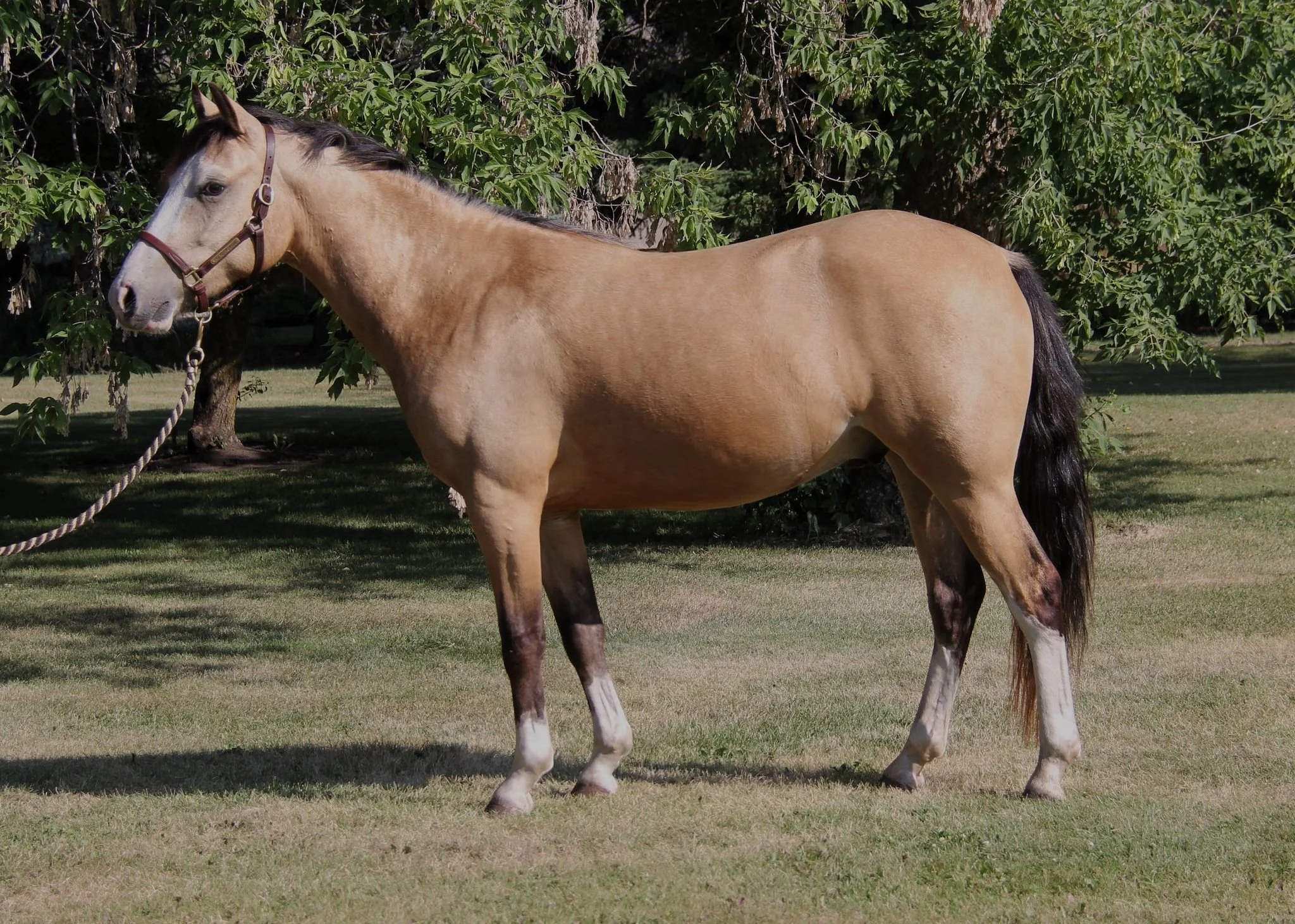 WhatsApp Image 2025-05-16 at 13.49.13 (1).jpeg