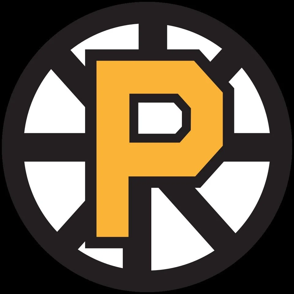 AT PROVIDENCE BRUINS